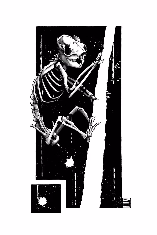 Koala Skeleton Study #5