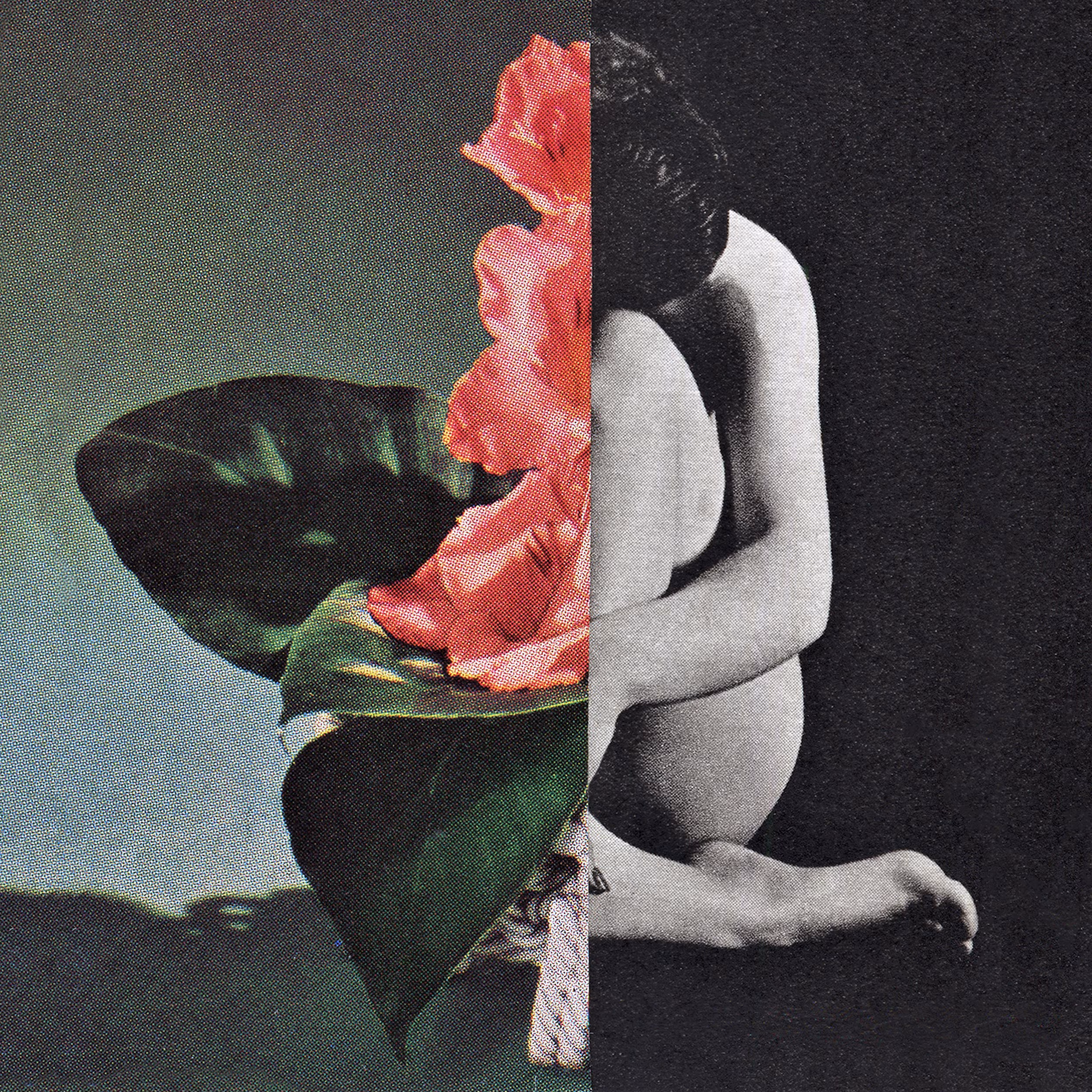 You Dont Bring Me Flowers: With love, Rose
