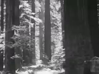 Song A Day: When California Falls into the Ocean I'll Be Sad