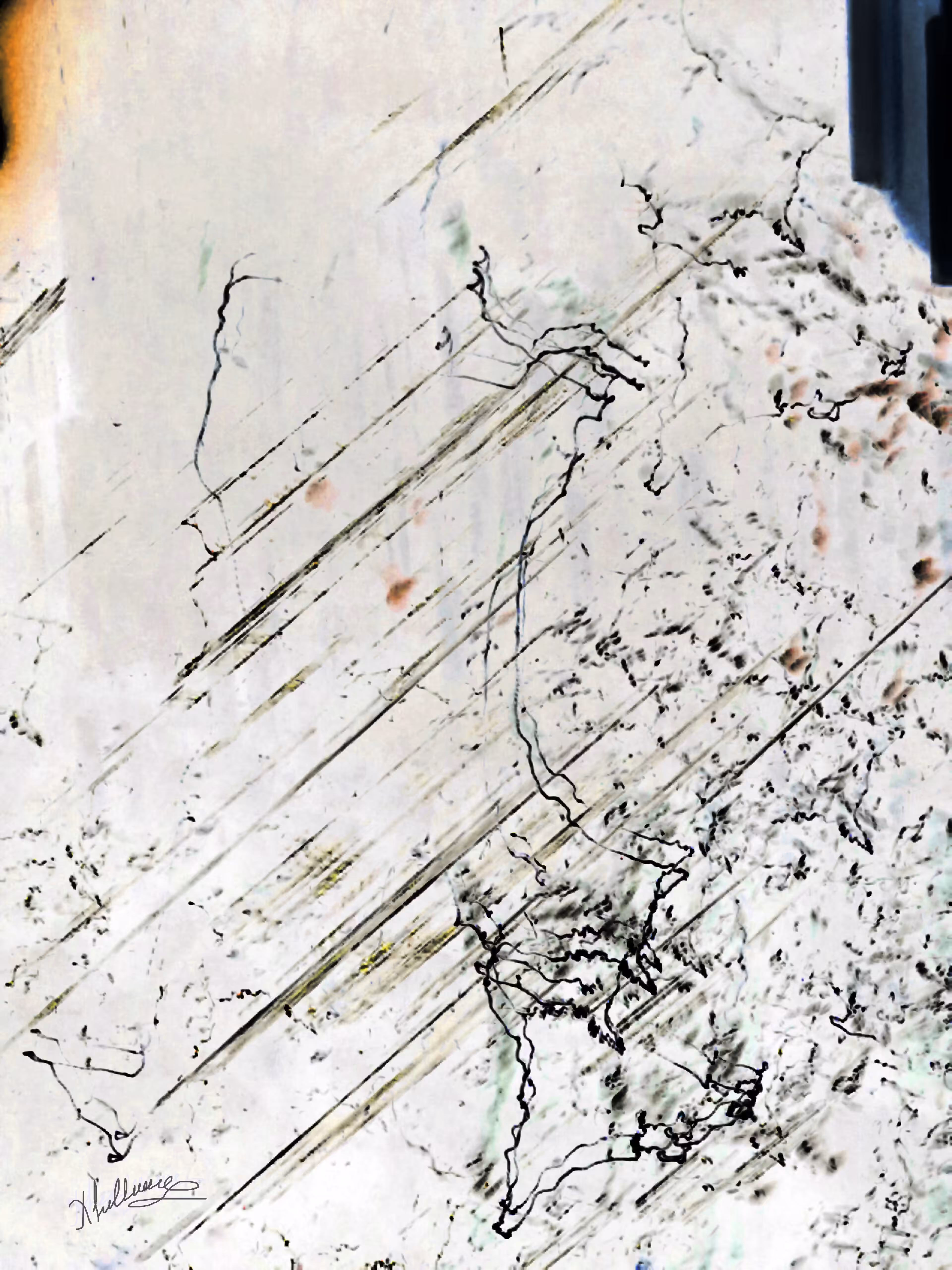 Signature 1