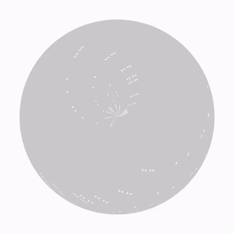 Coiling 1 #223