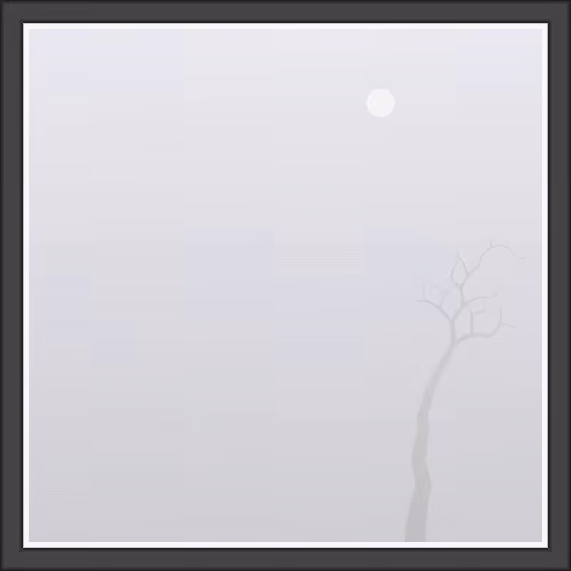 The Foggy Trees #79