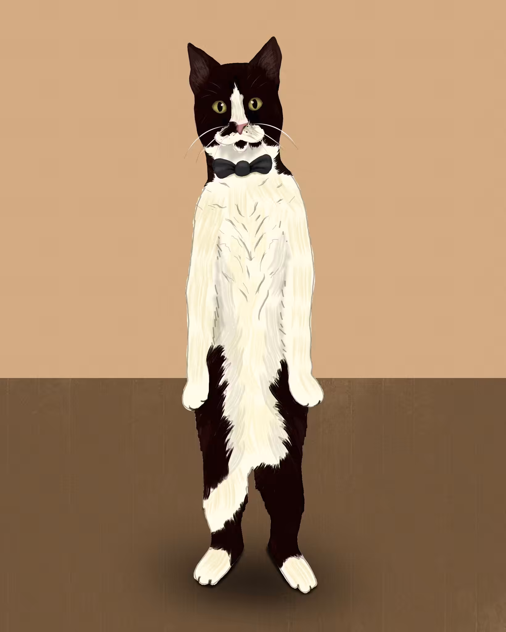 Art Of Abolfazl : Handsome Cat