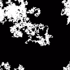 Amaranthine Cadence 184