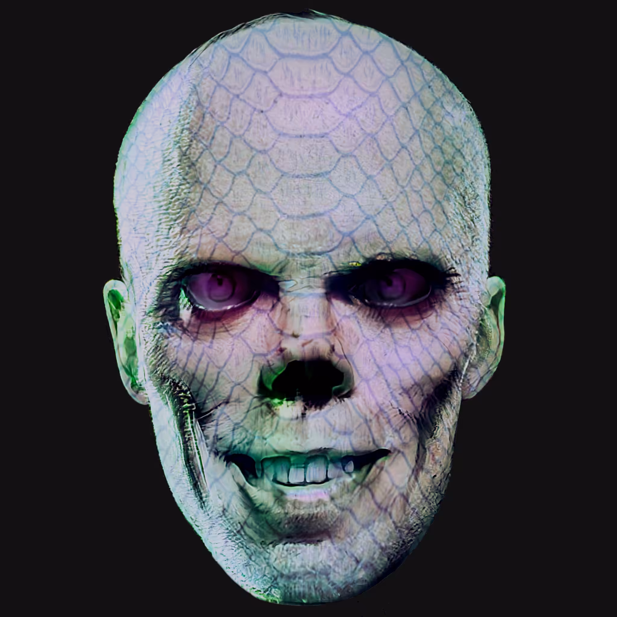 Some Other Species 4