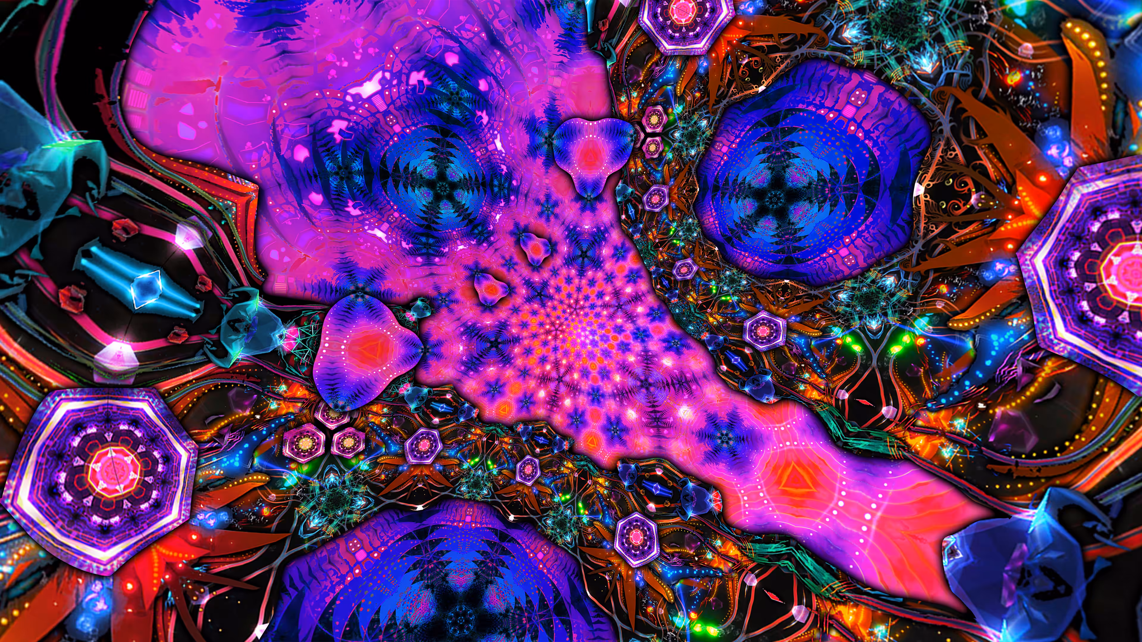 Warp #013