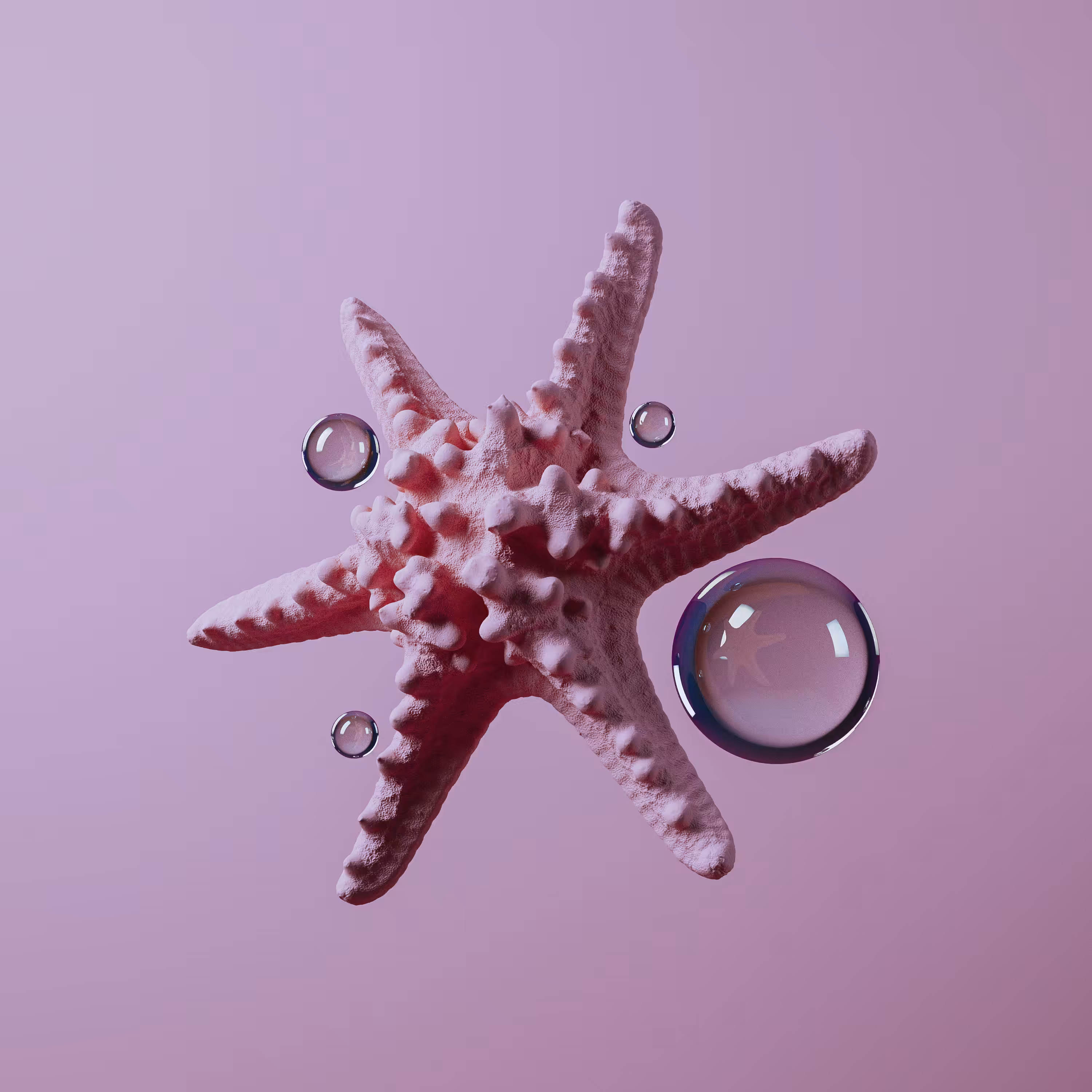 pop.star