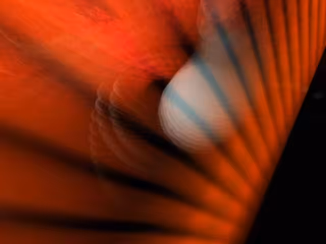 Surfing in a vortex