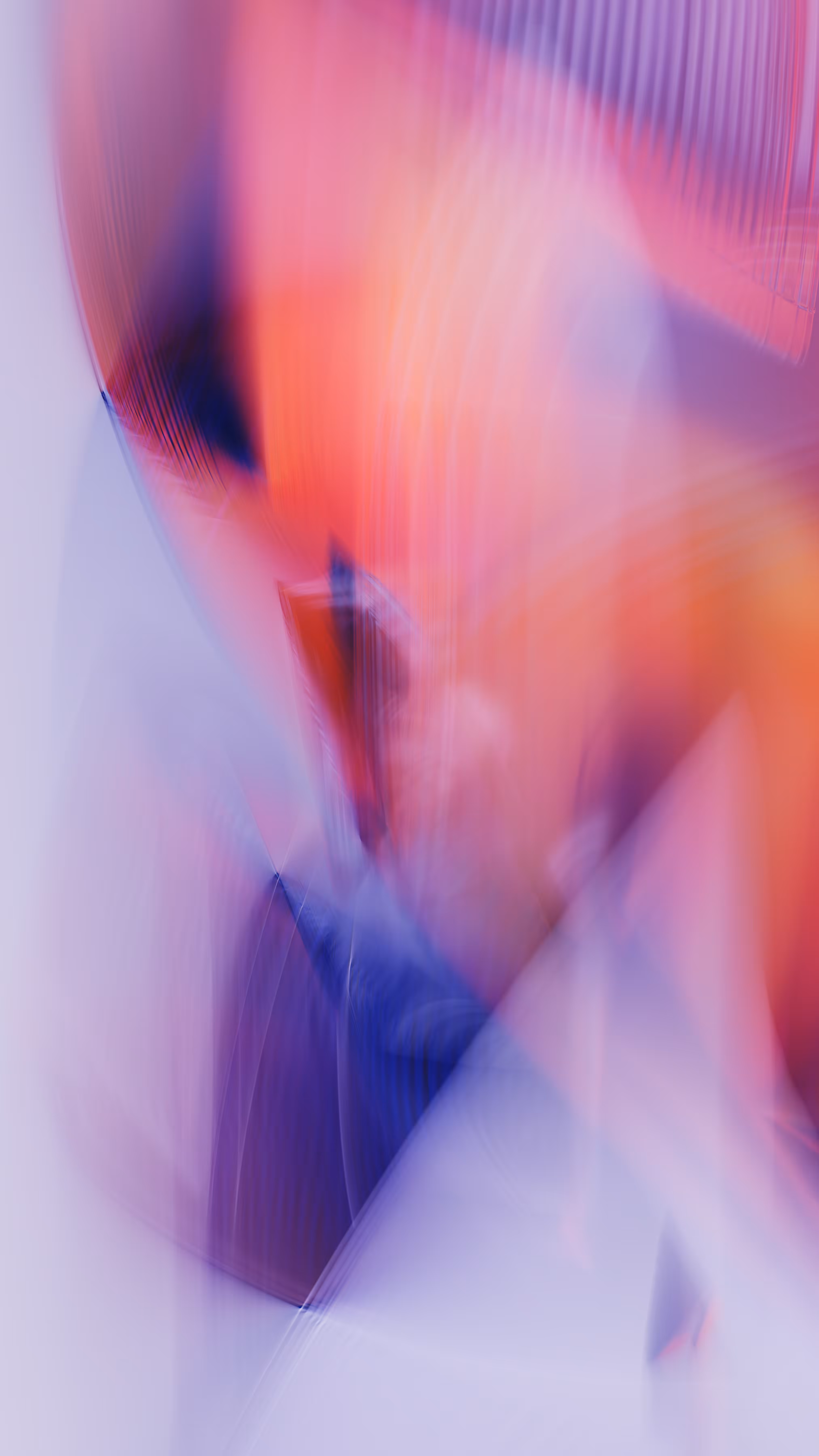 Momentum #117