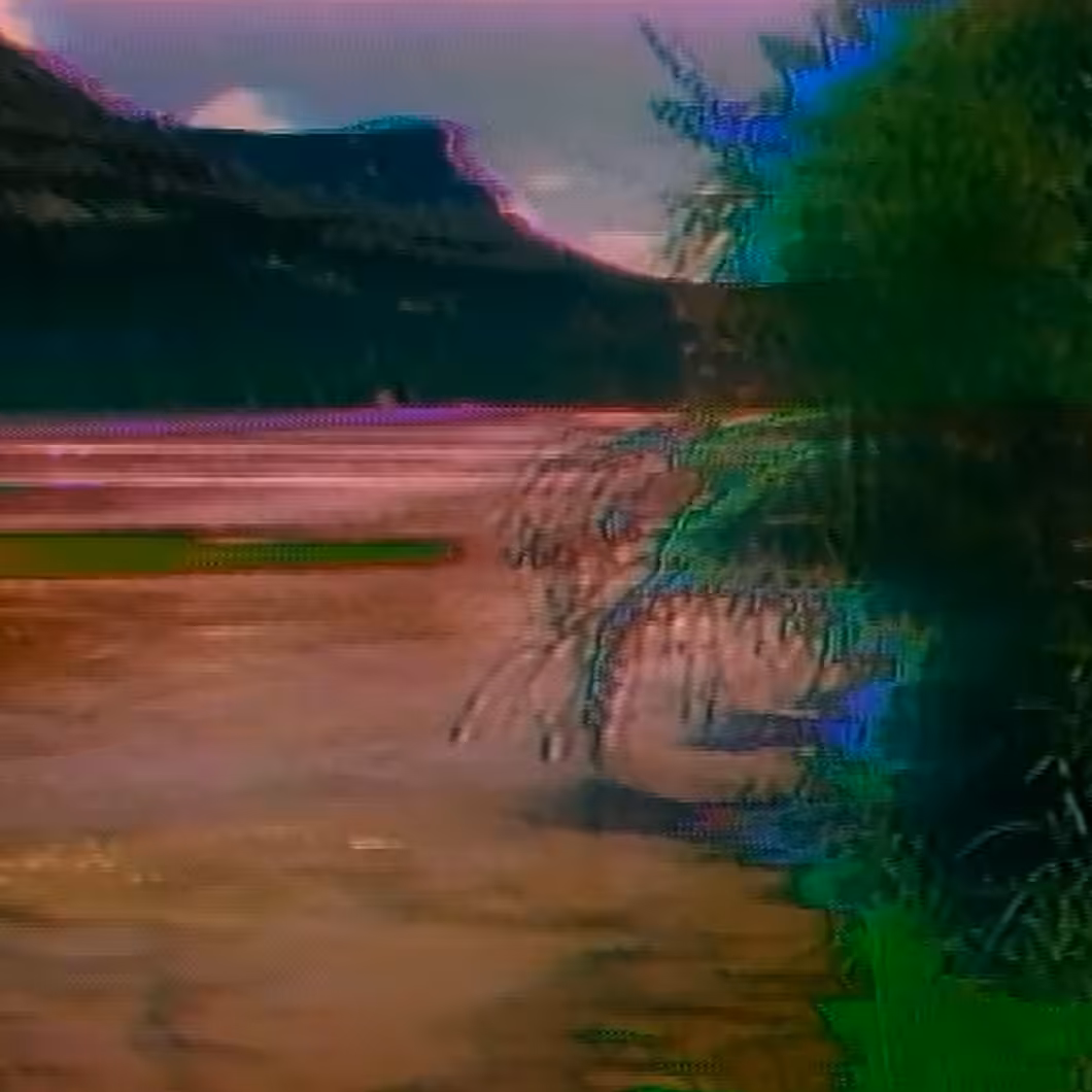 vhs dream 204