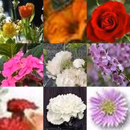 https://internet.flowers/bouquet081.jpg