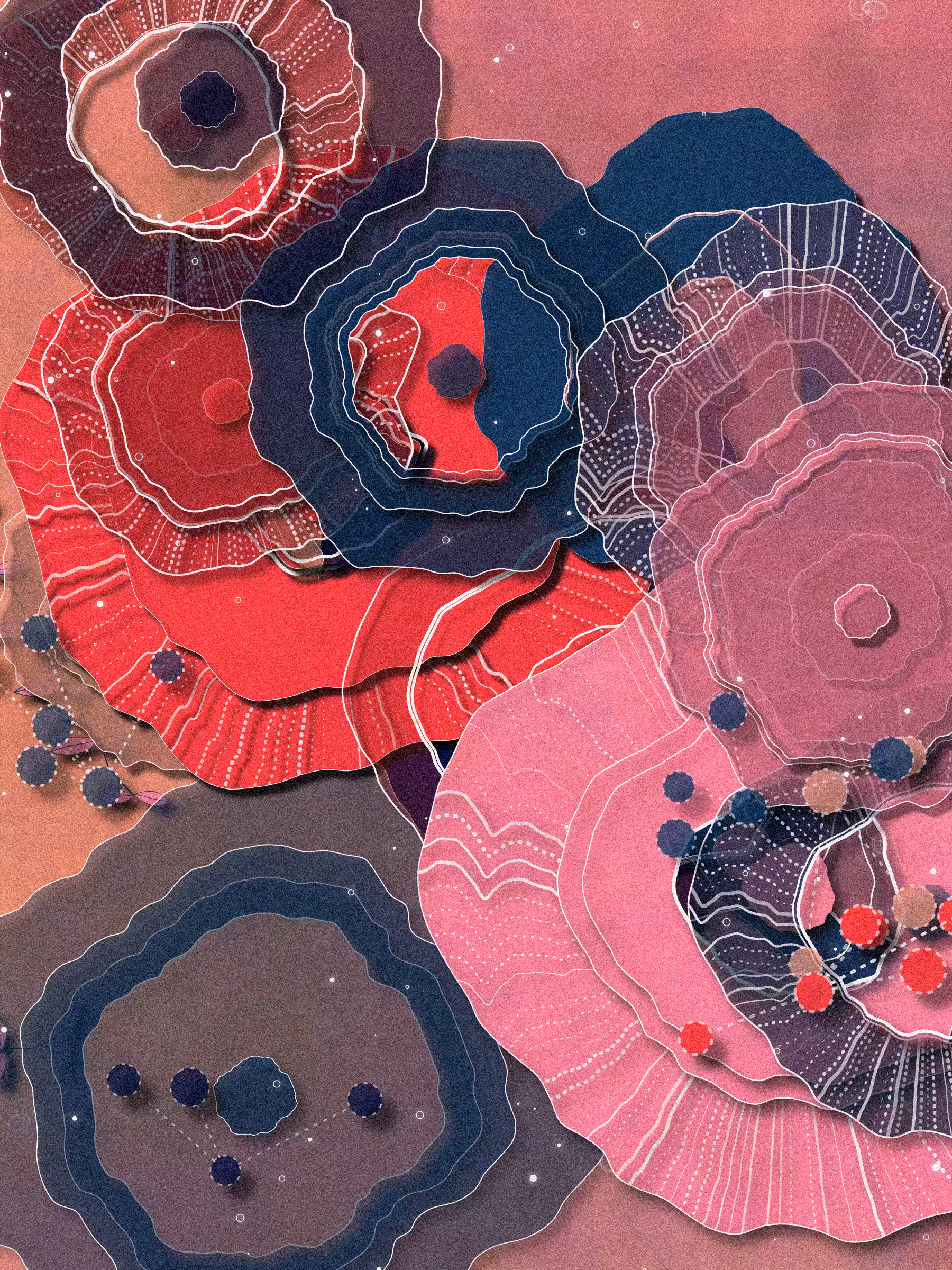 Coral #11