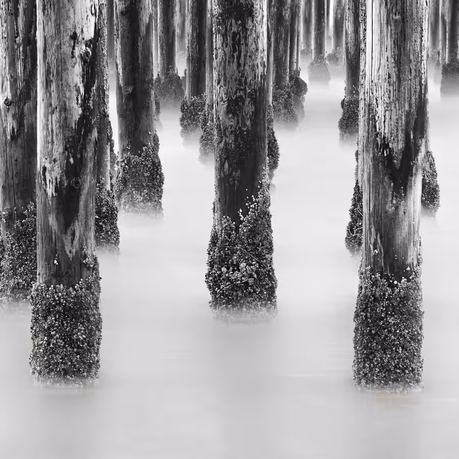 Pismo Pier Posts