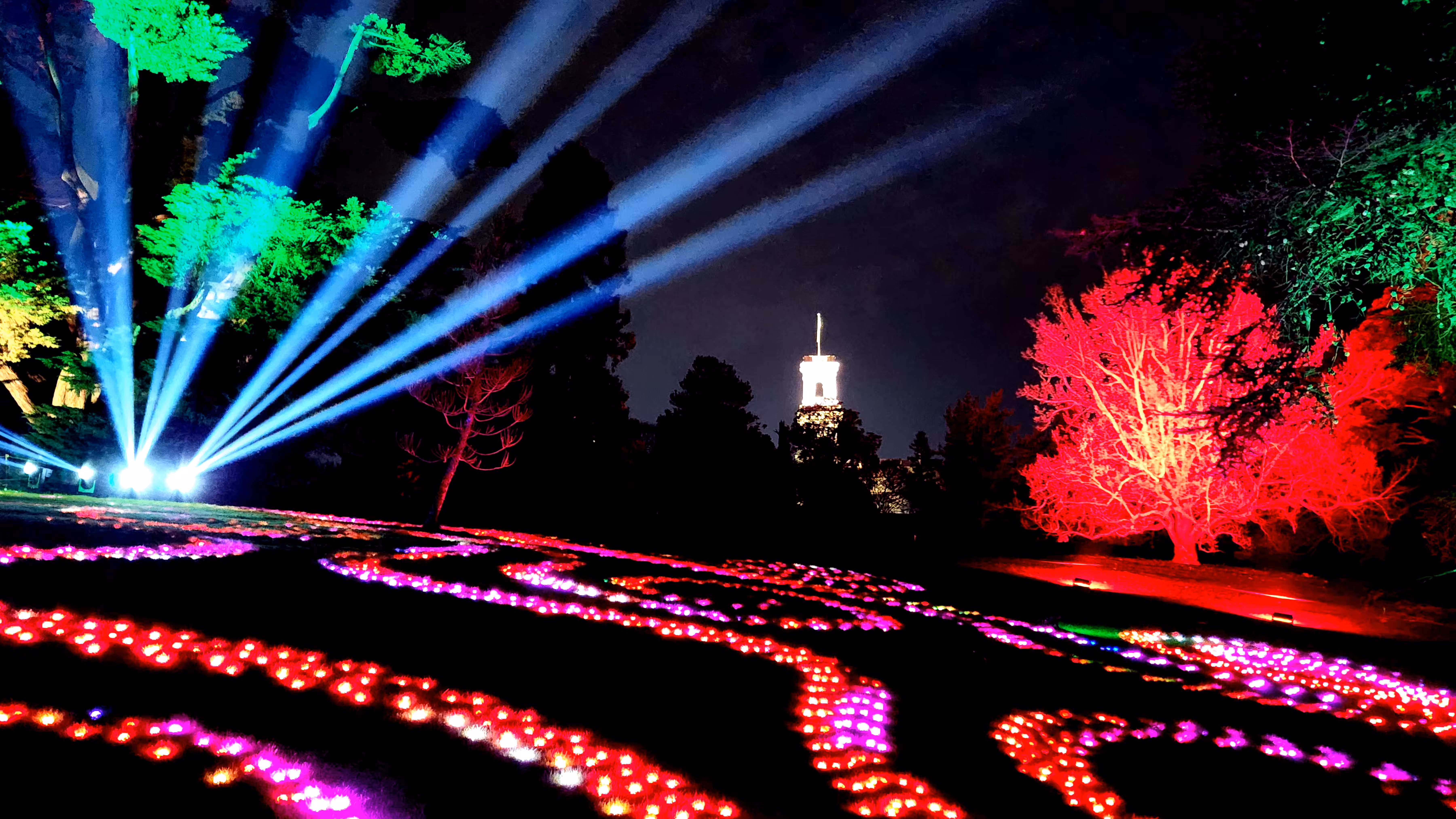 Lightscape  - flower bed #2