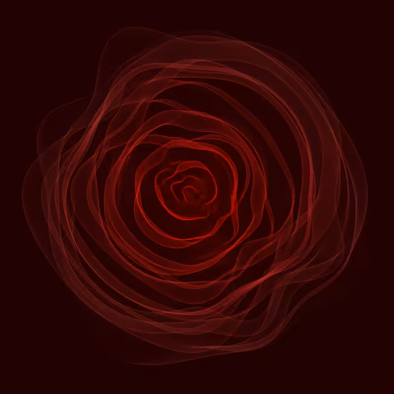 Roses #12