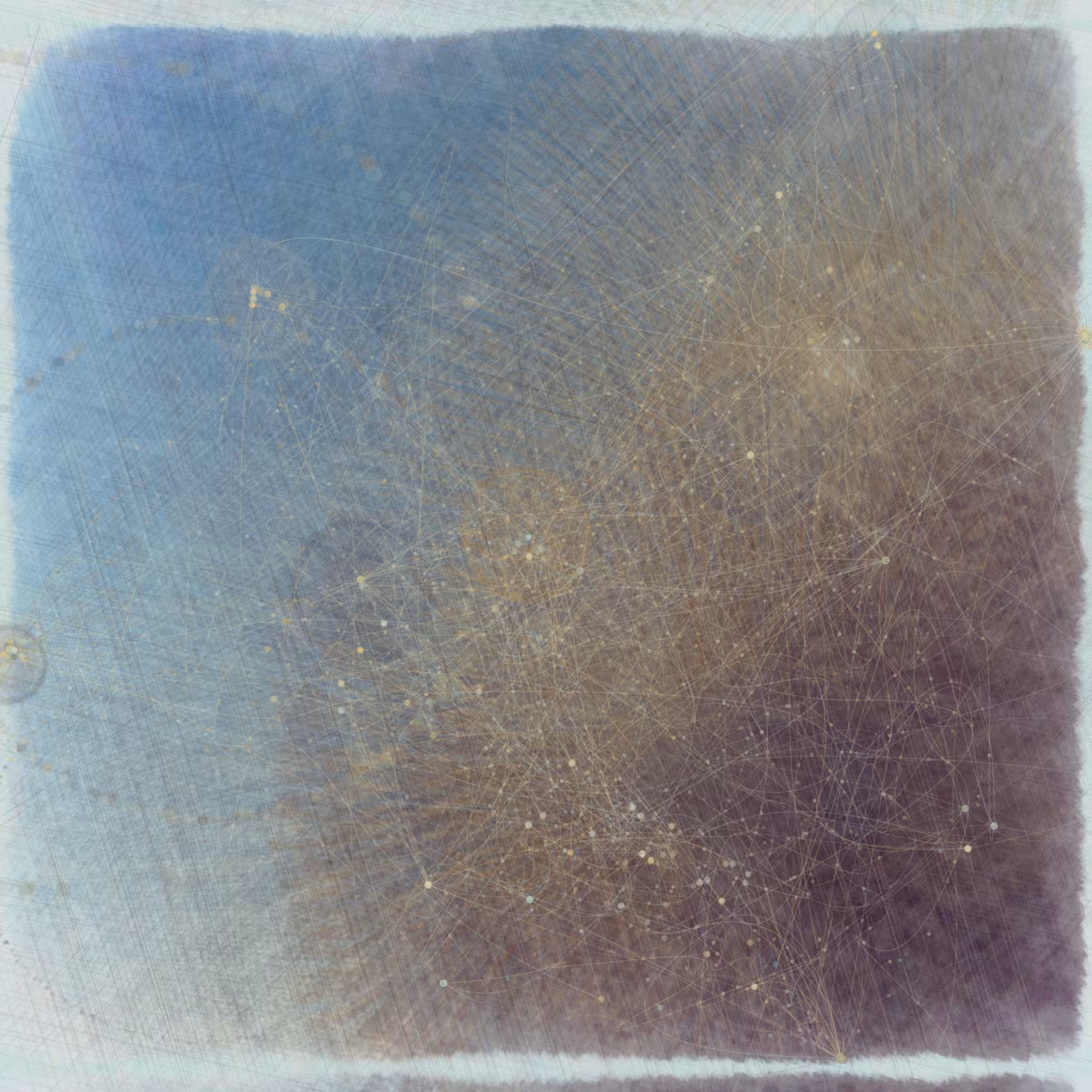 Reticulum