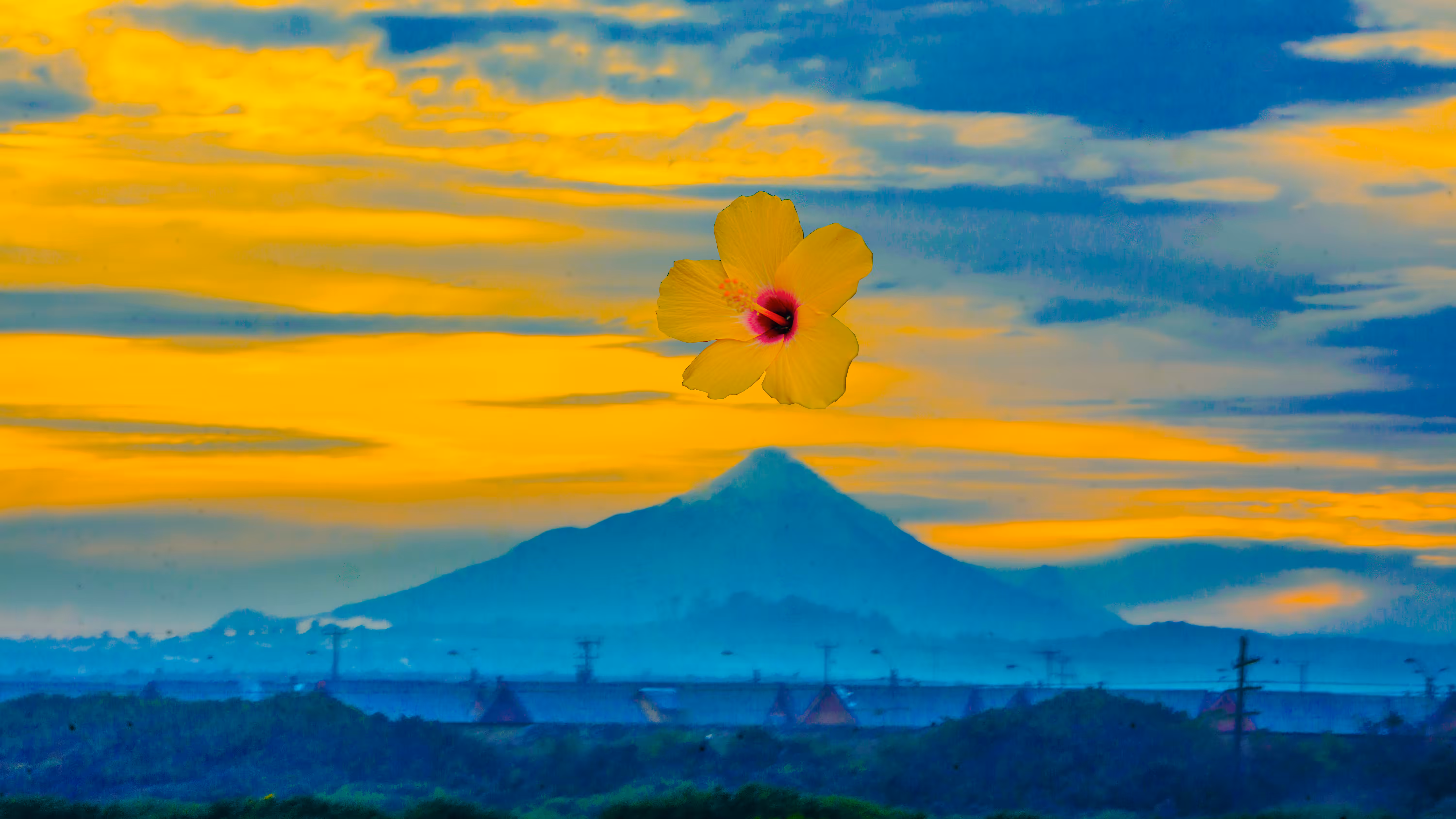 Eruption flower #3