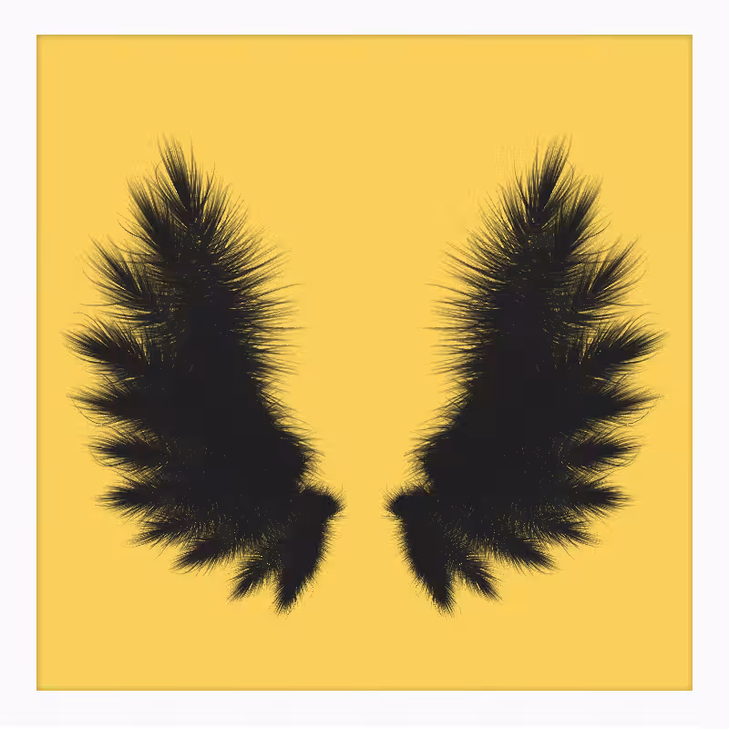 Symmetrical Wings #1