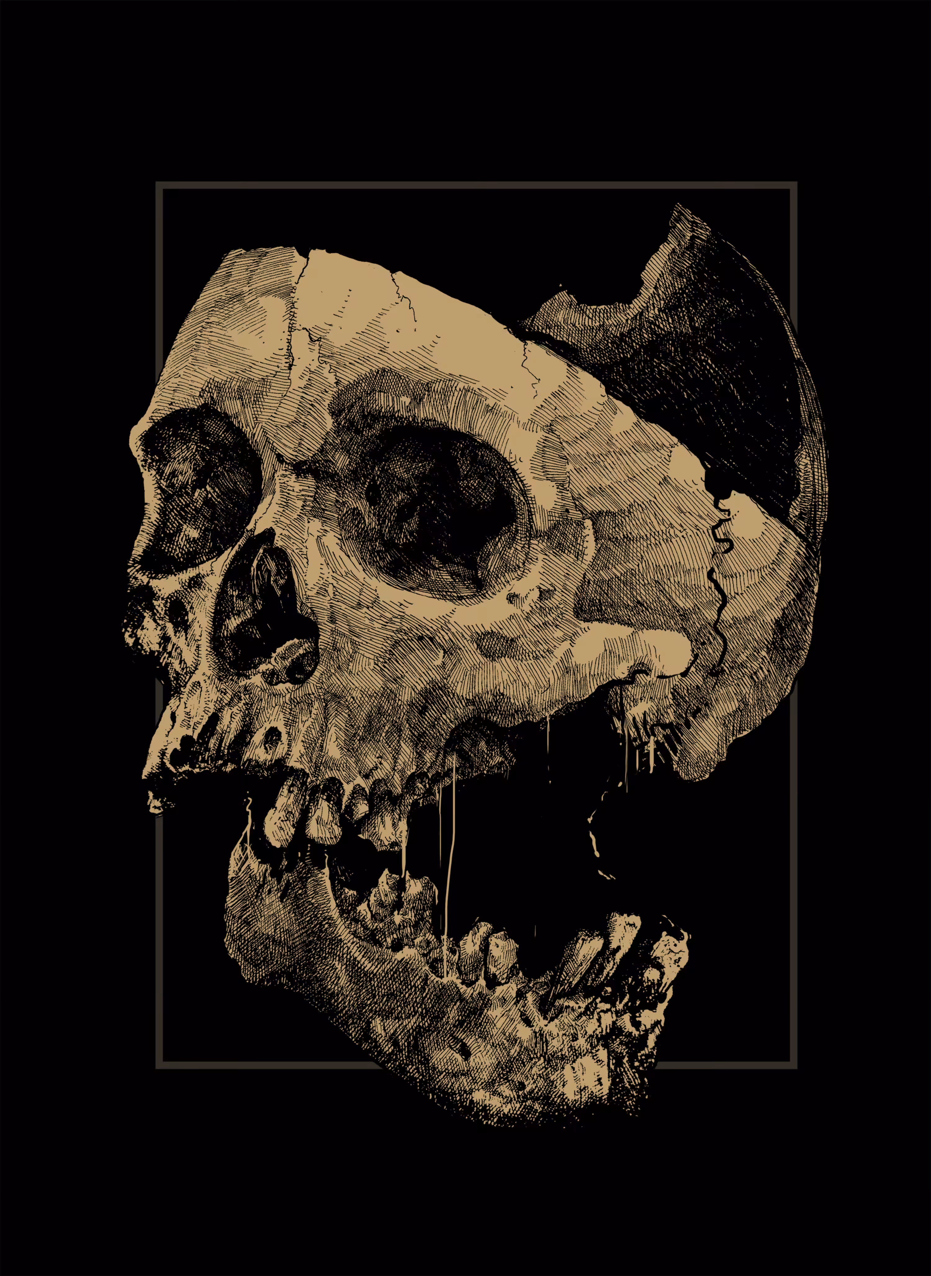 Skull