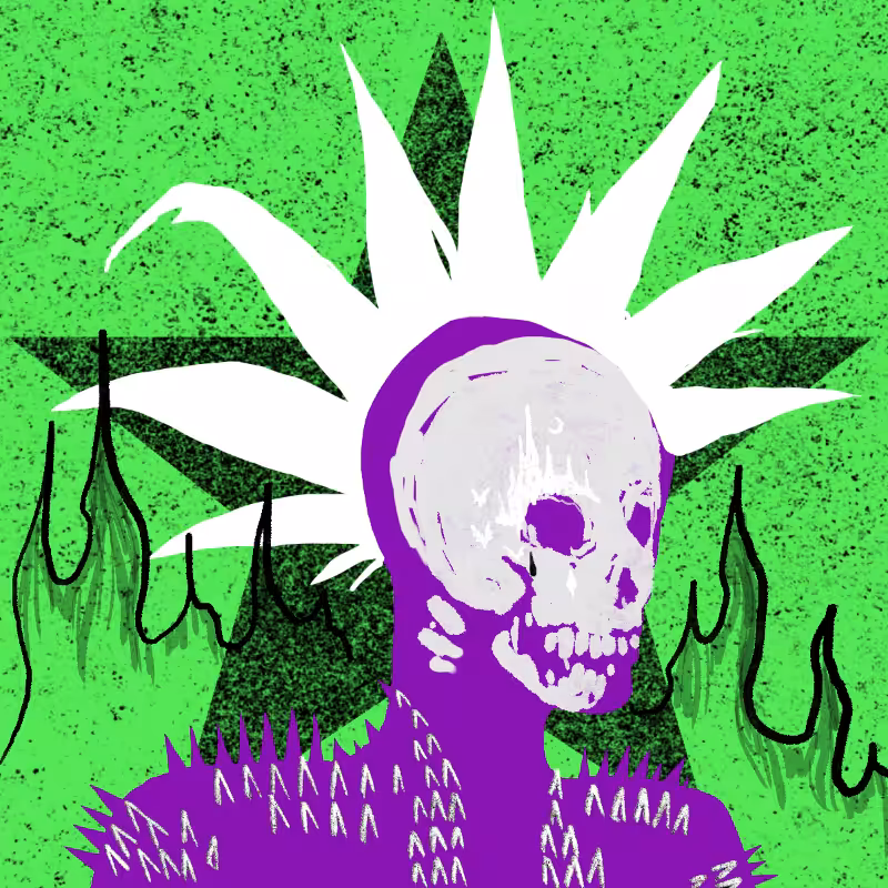 The Unseen Punks #26