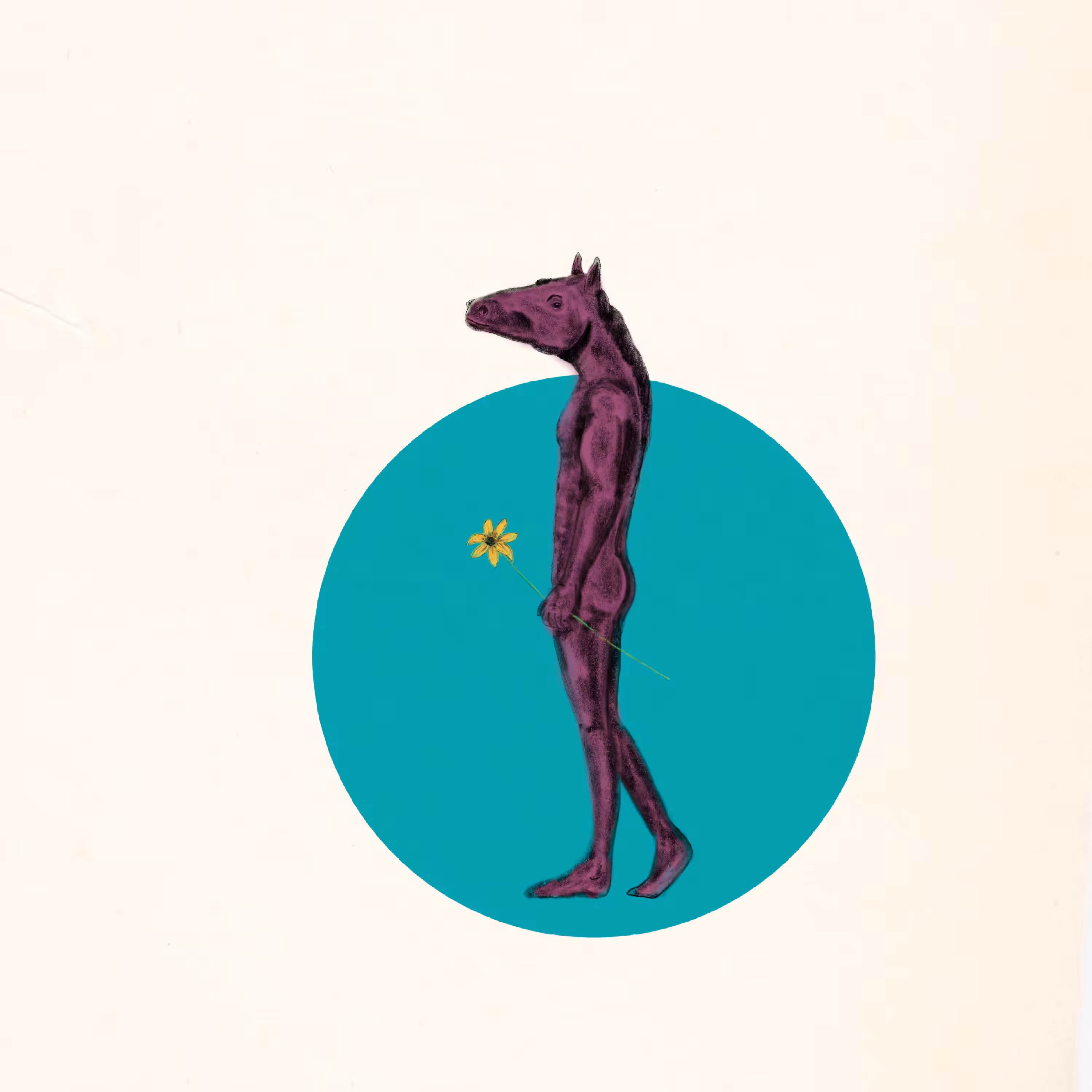 Horse 