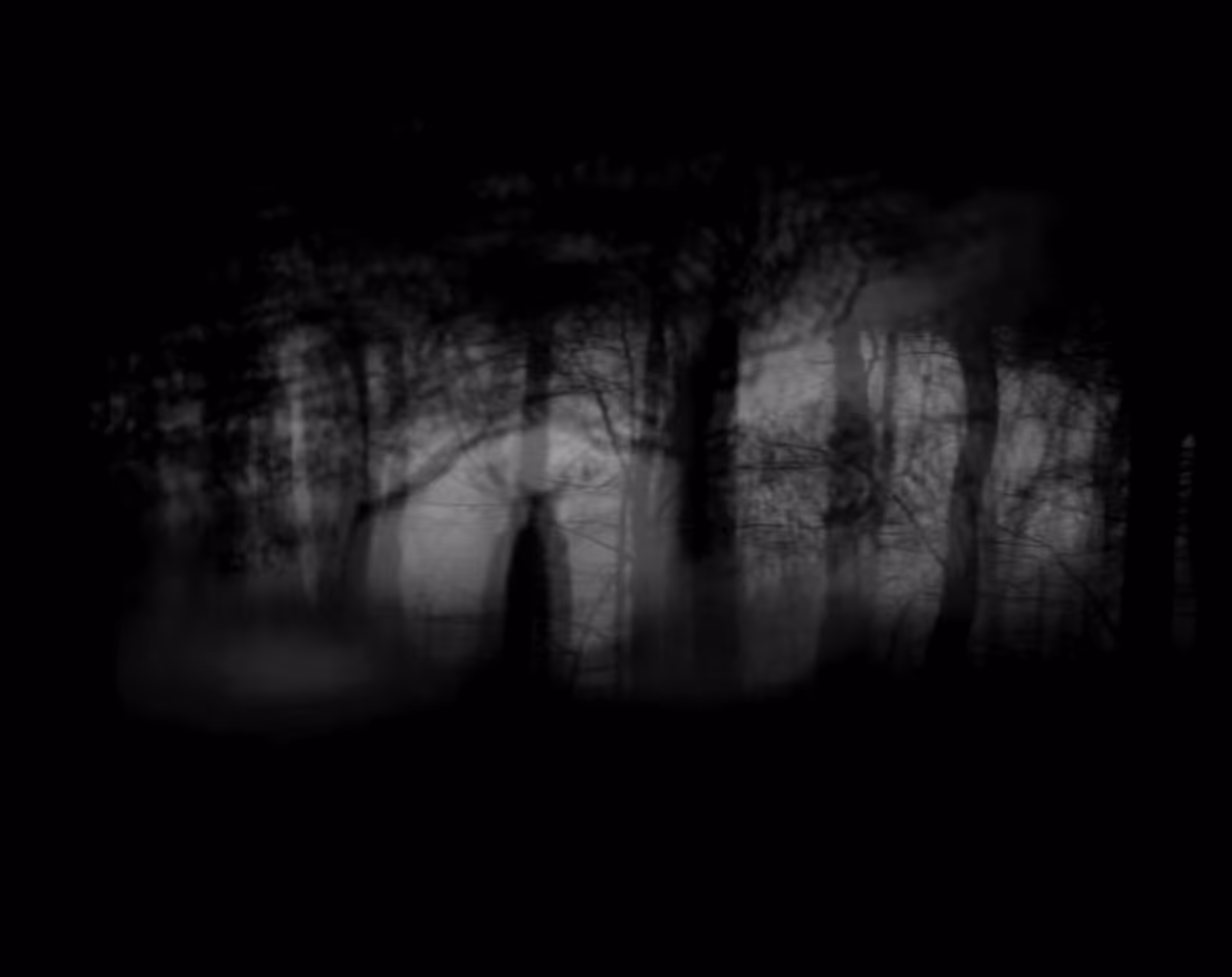 Dark Forest