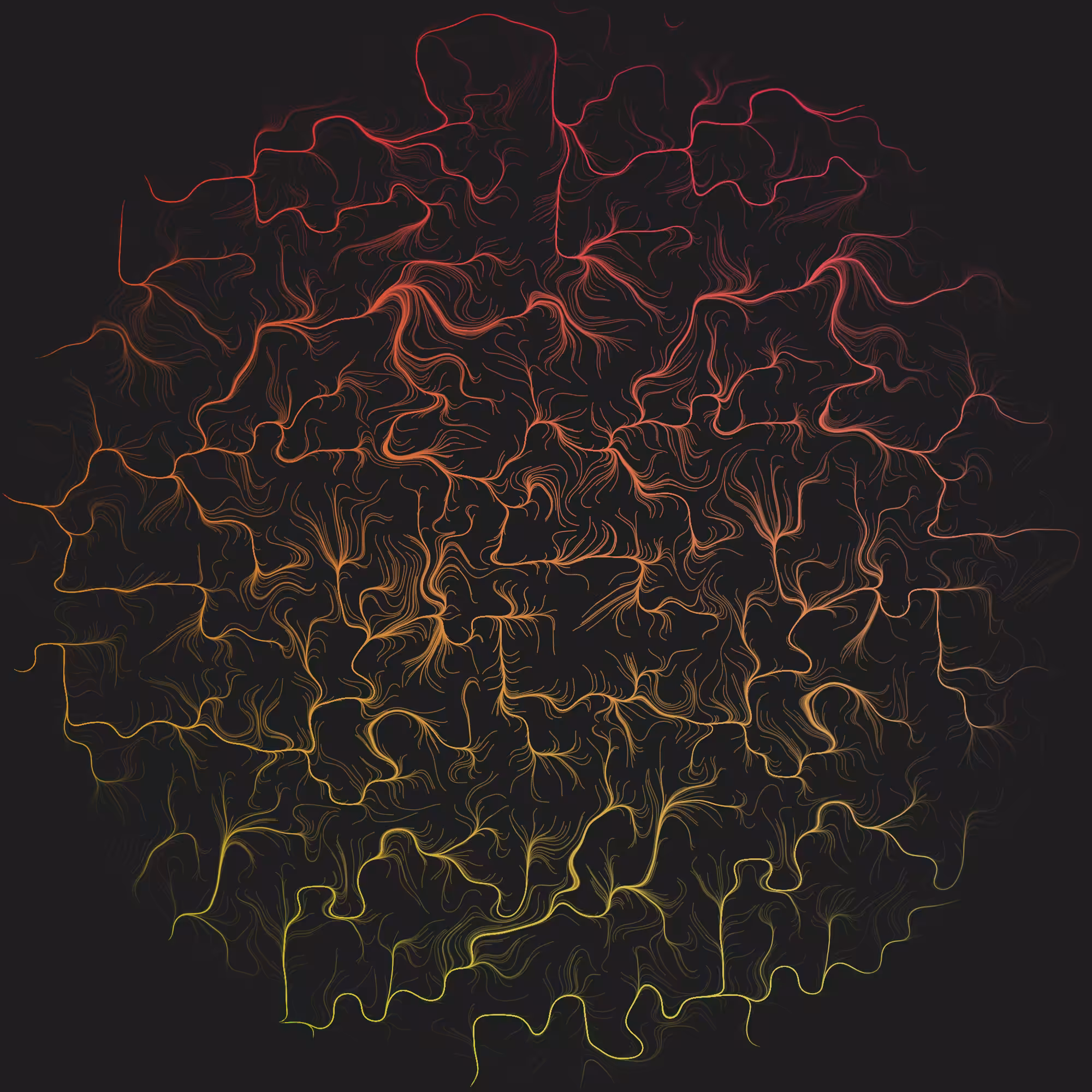 Roots - 01