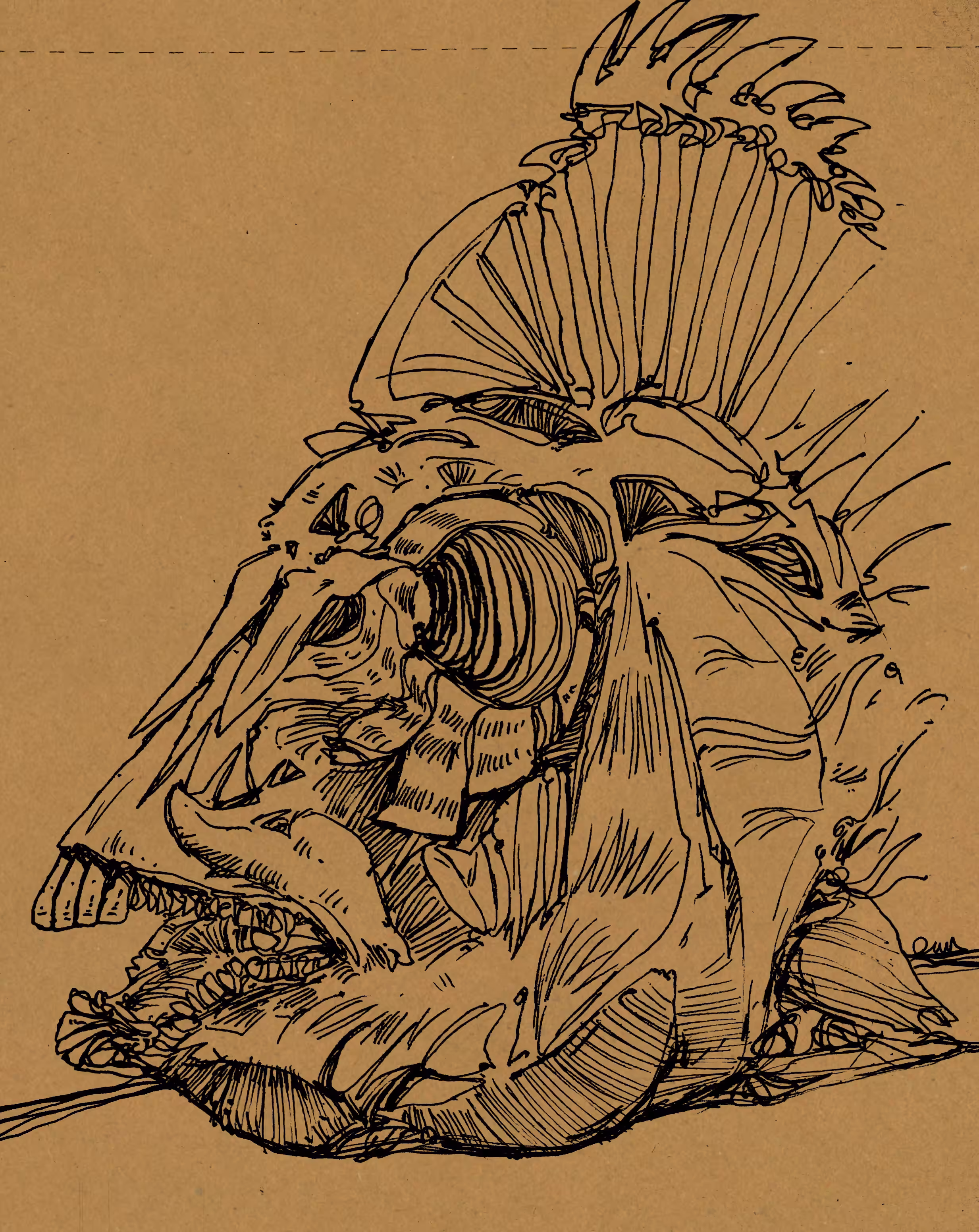 Skull-01