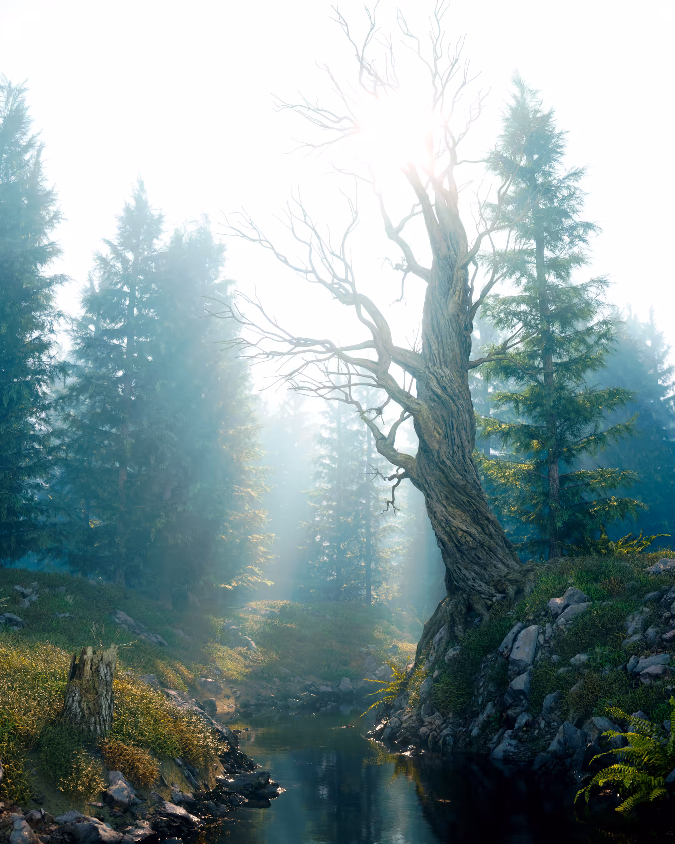 Twilight