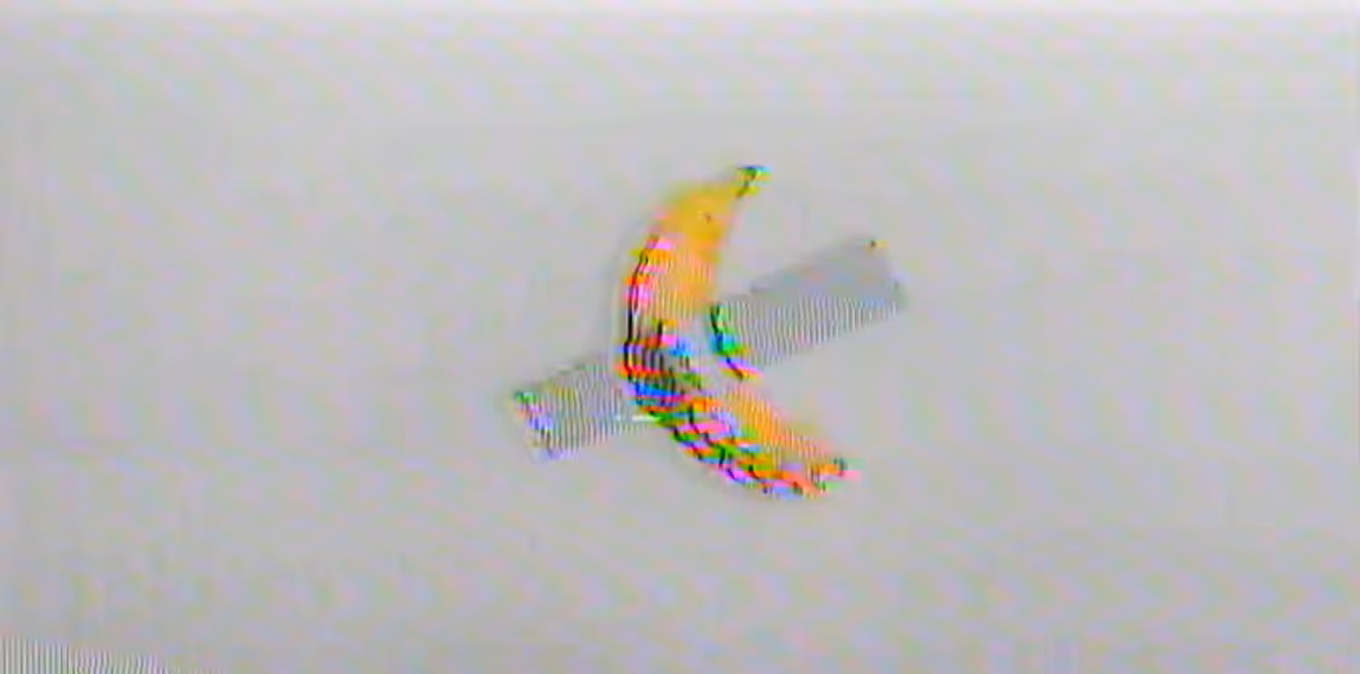C̵͔̘̈́🟨M̴̉D̷͊͘͝Ñ̸͚̱͍͆͠