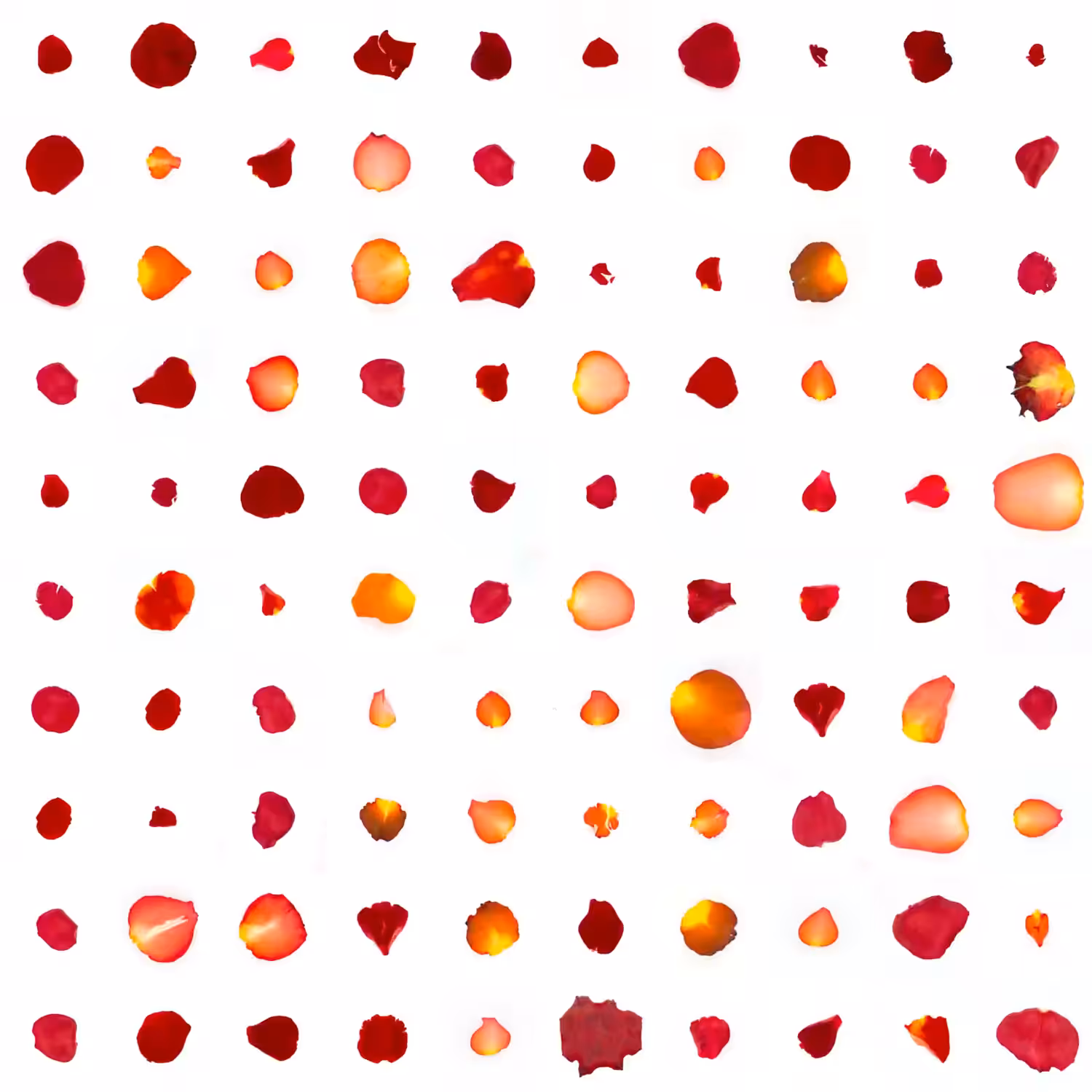 Infinite Petals 10x10#10130