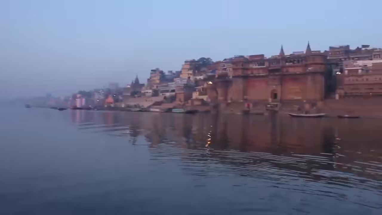 Rui Zilhao: India 2015 #5/10