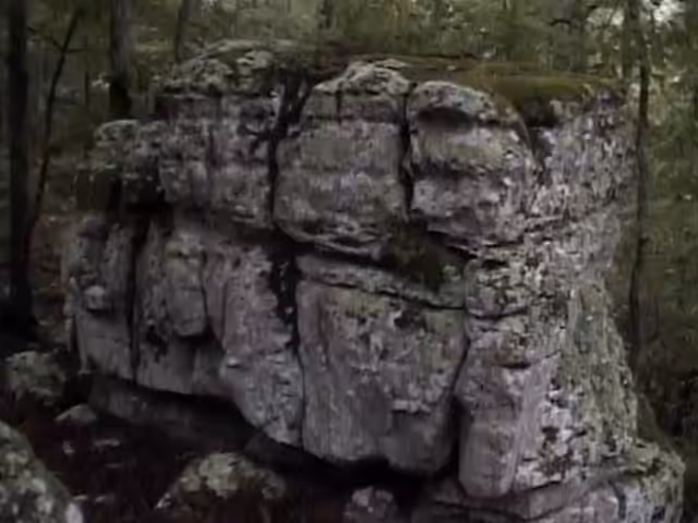 苔蘚覆蓋的石頭