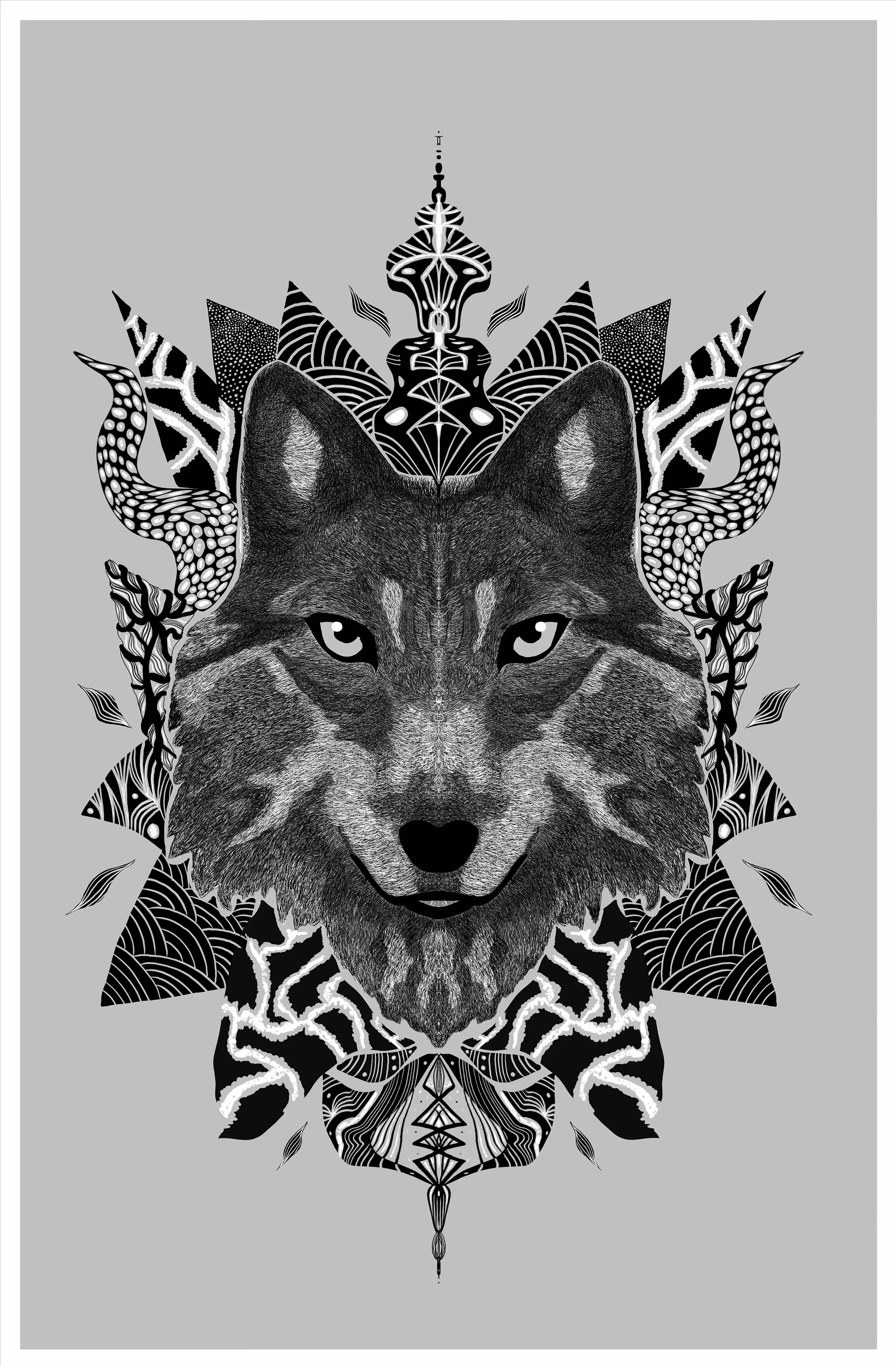 The Wolf´s Message