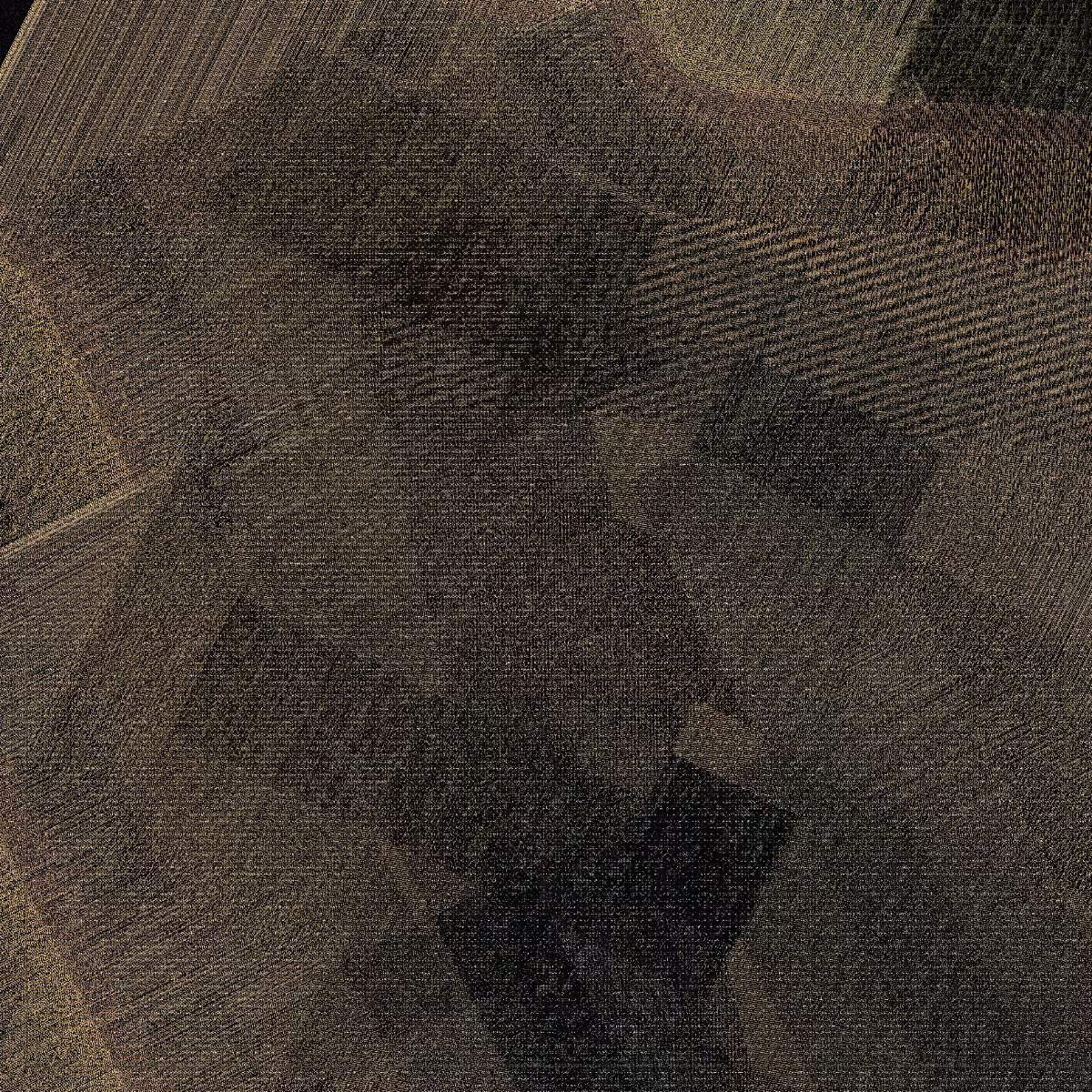 Woven Fabric #9