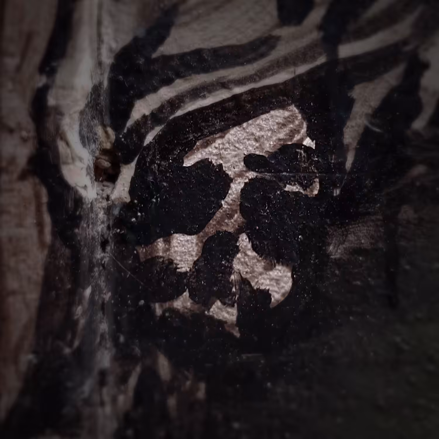 341 - The buried skull