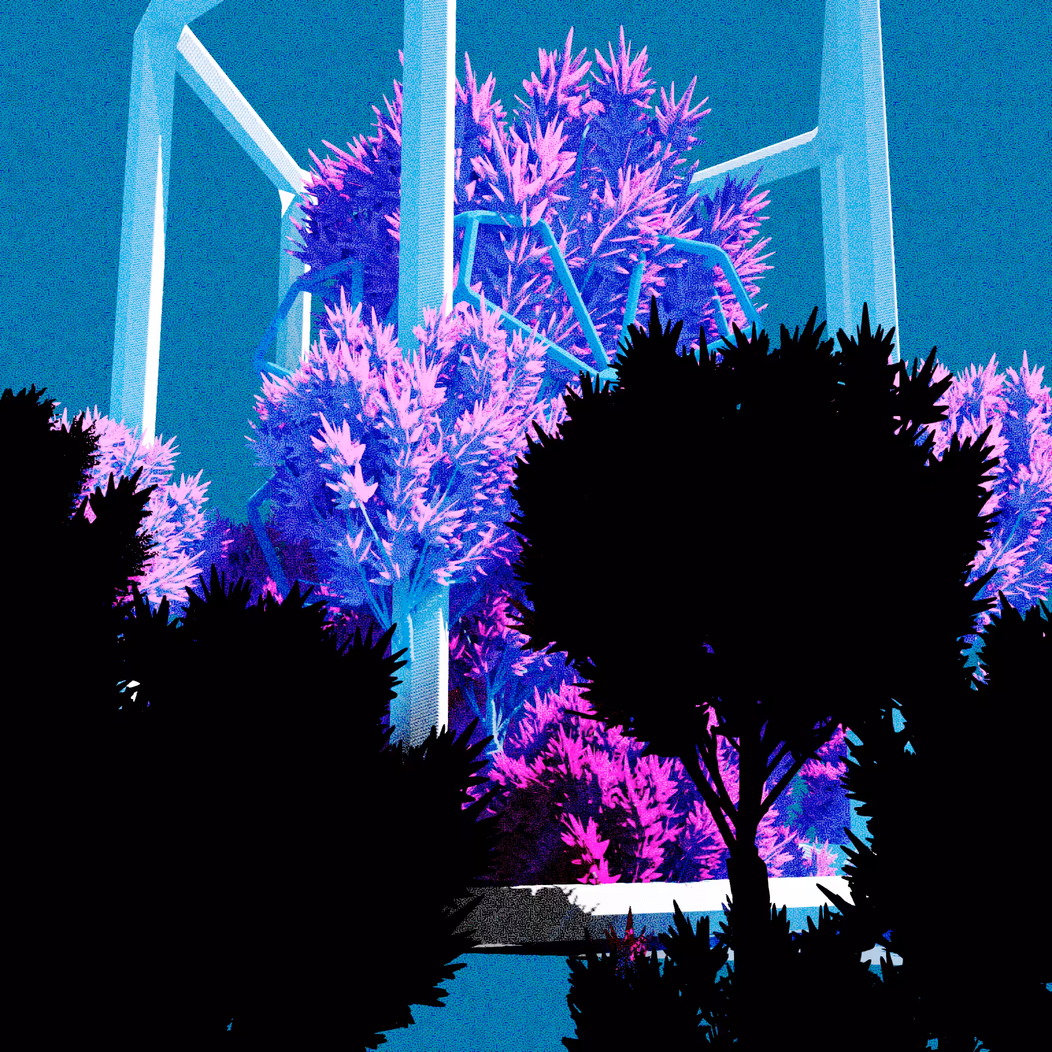 Urban Flora #383