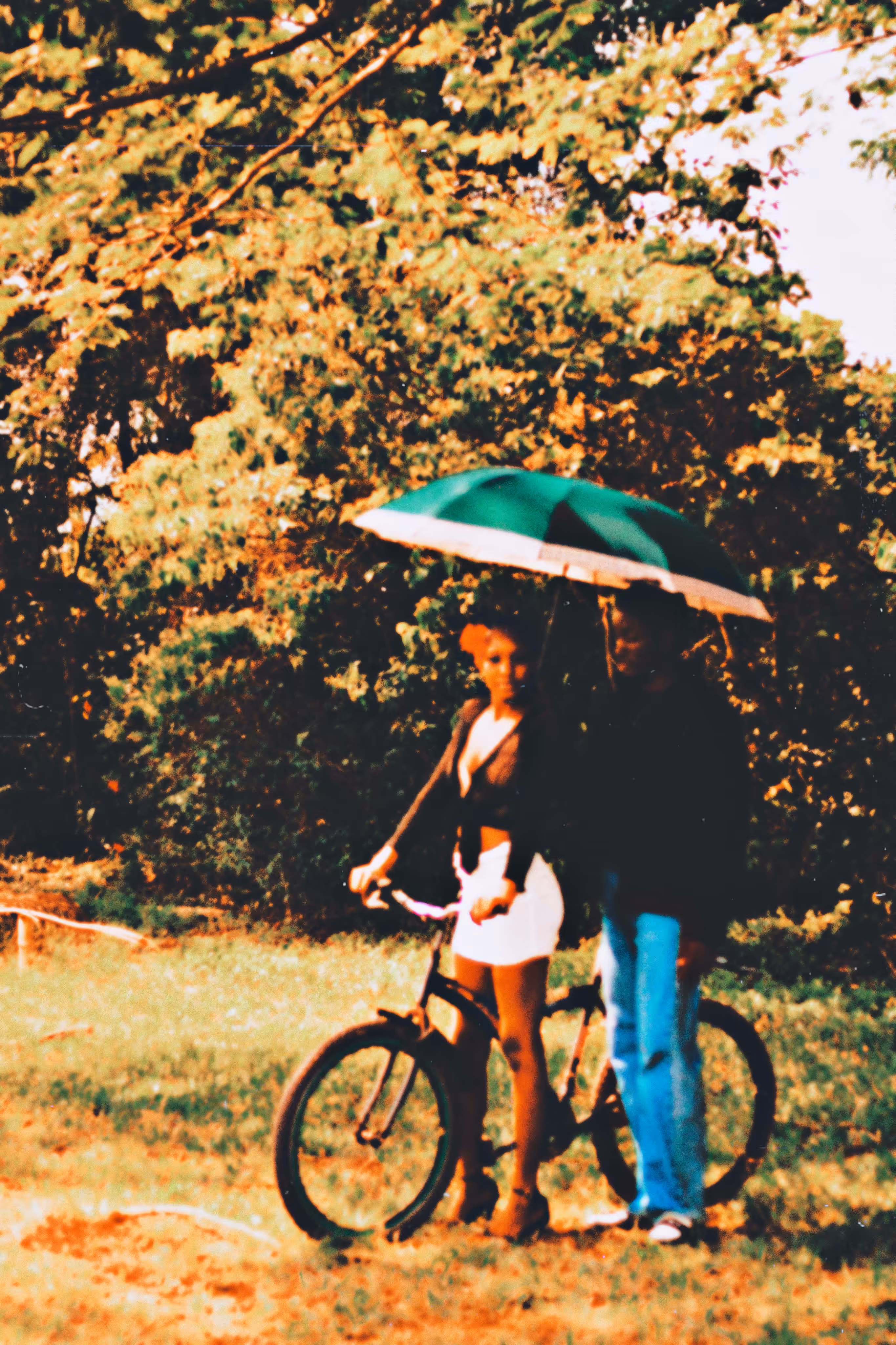  "Under This Umbrella, We Stay"