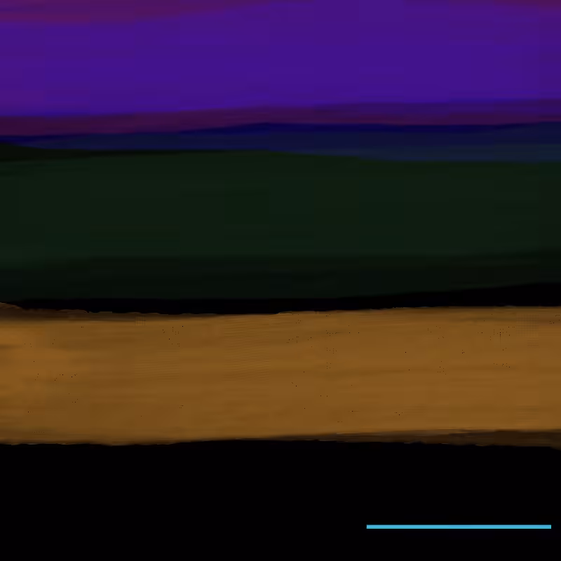 Arts of Chet Abstract 2 #12