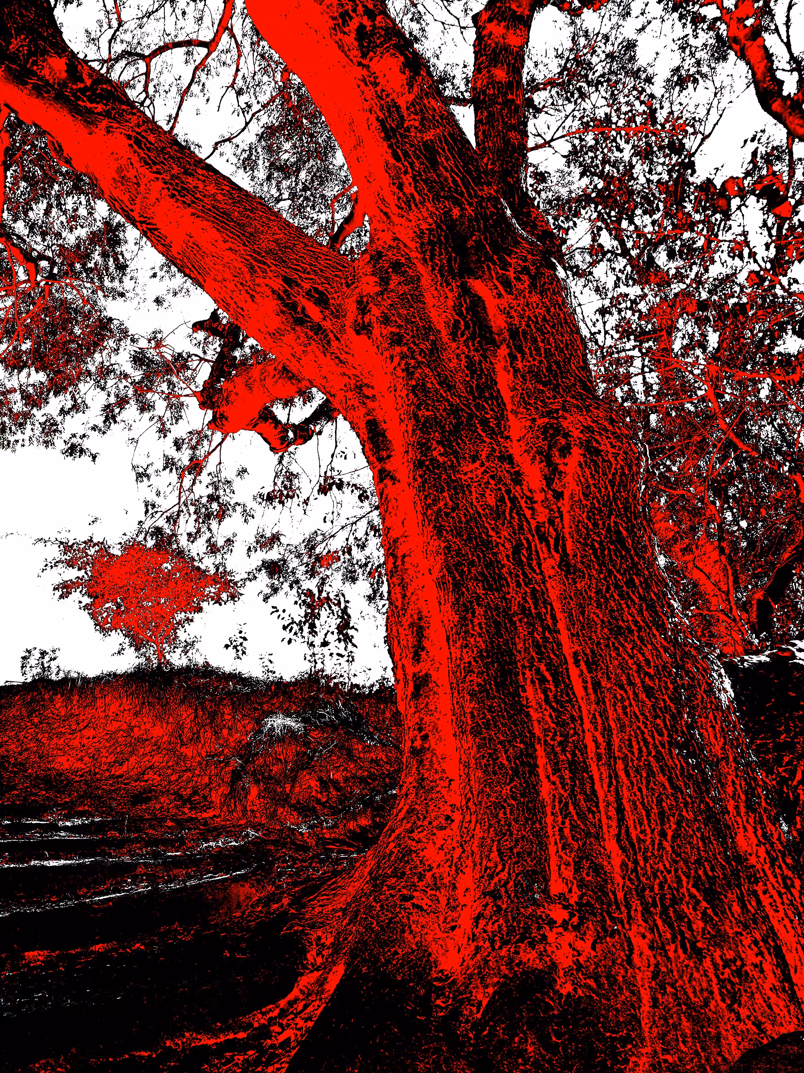 tree