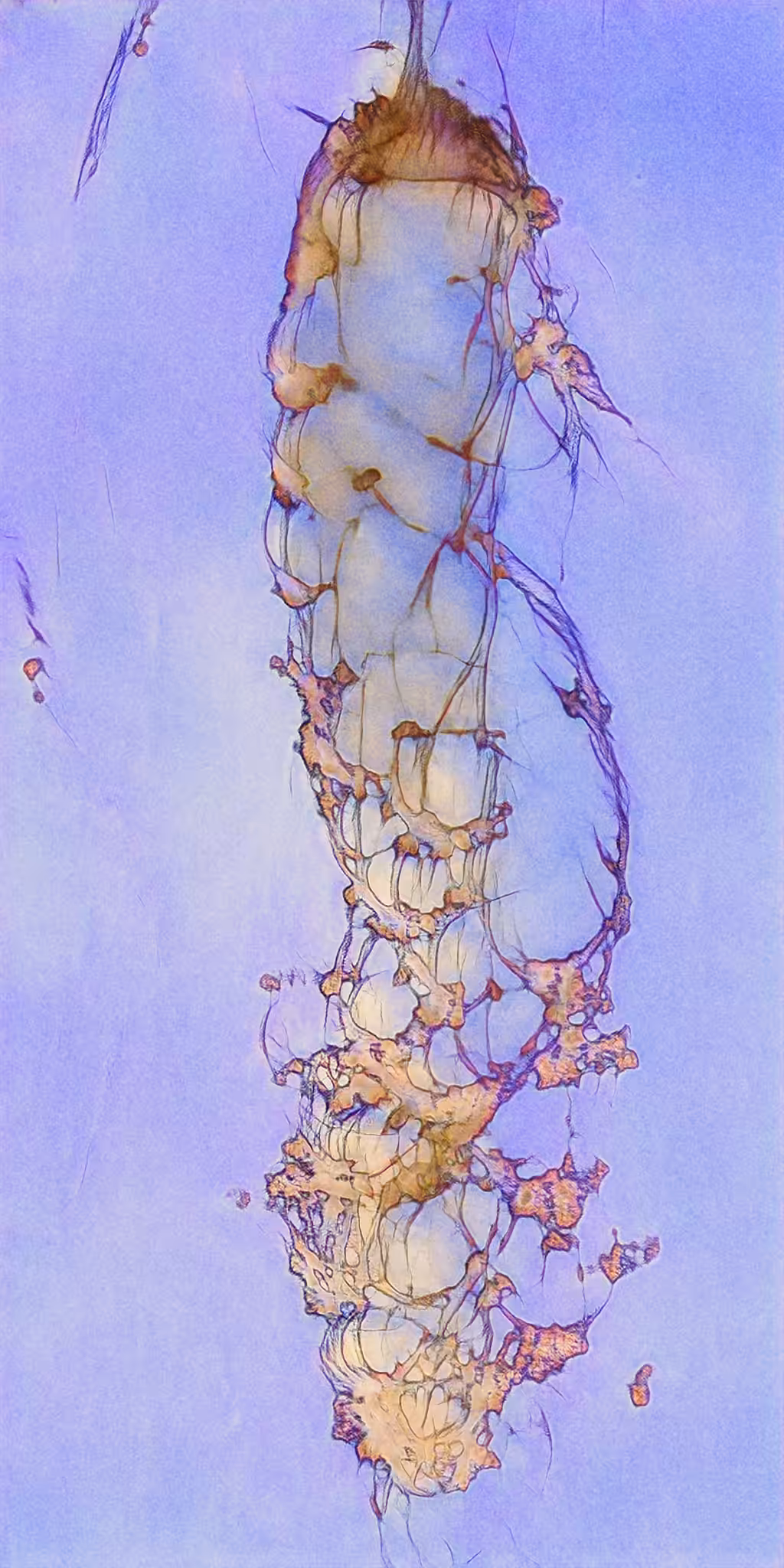 Gelatinous Dawn