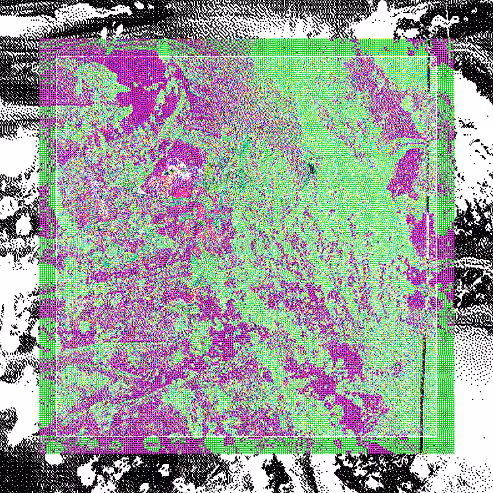 CHX-1 #25