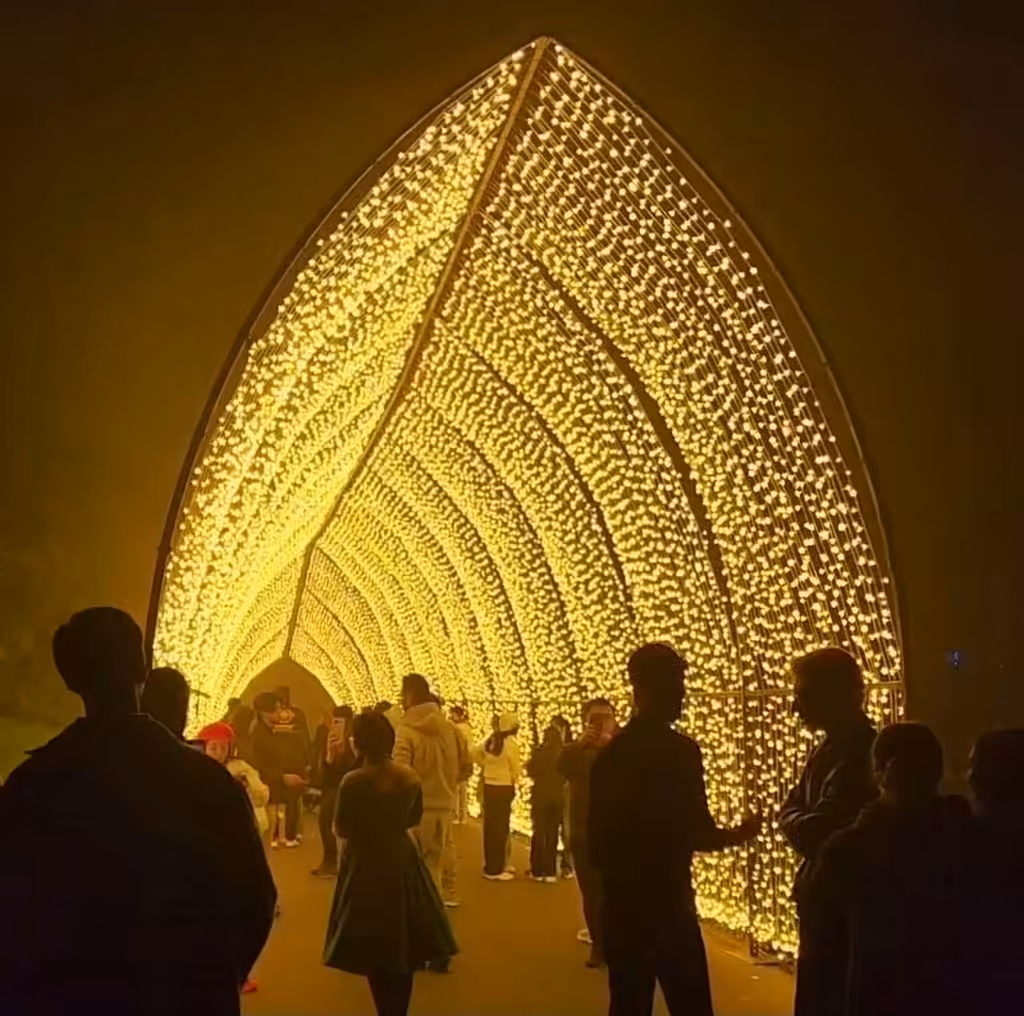 Lightscape  - tunnel of light 