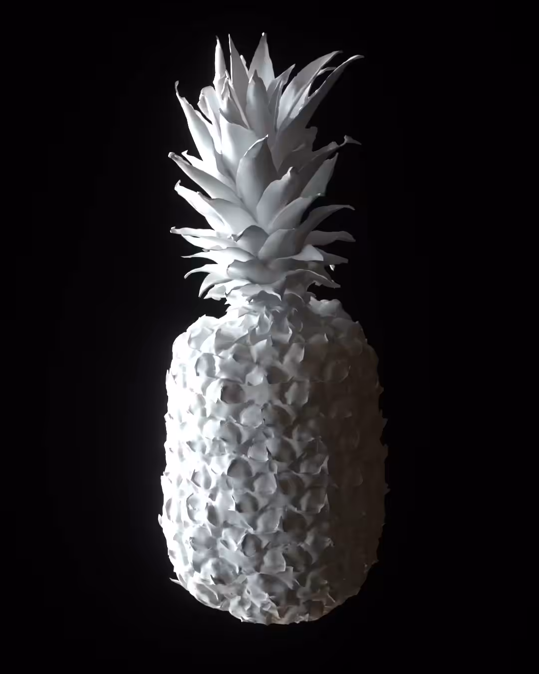 pak lost his pineapple