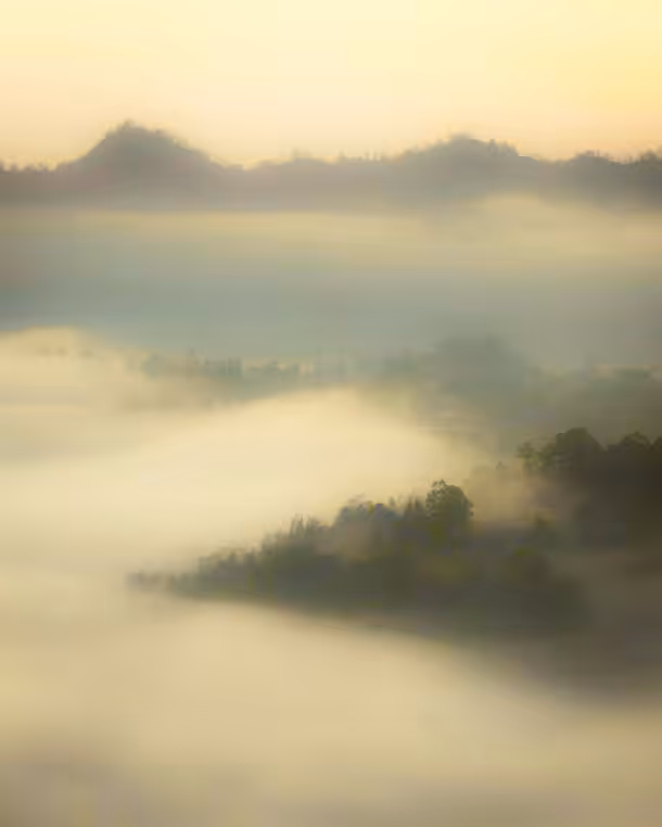 Ethereal Flow