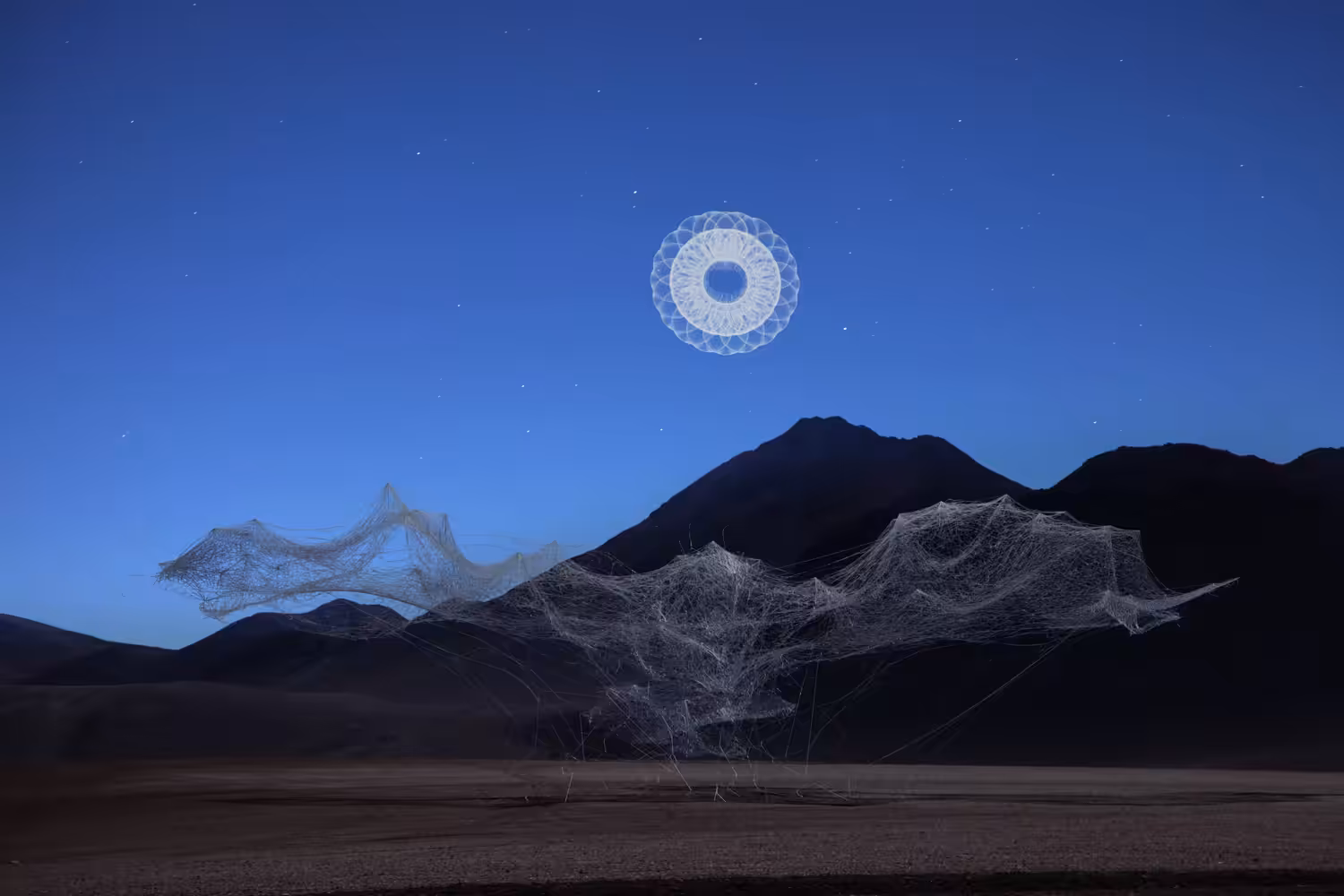 The Bird: Translucent
