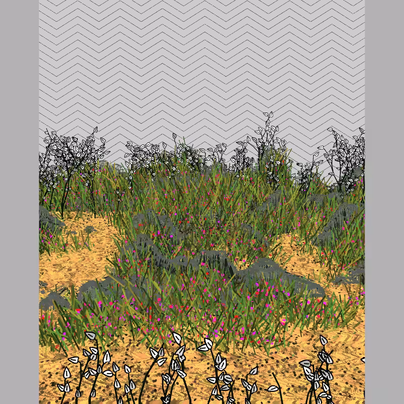 Contours #2
