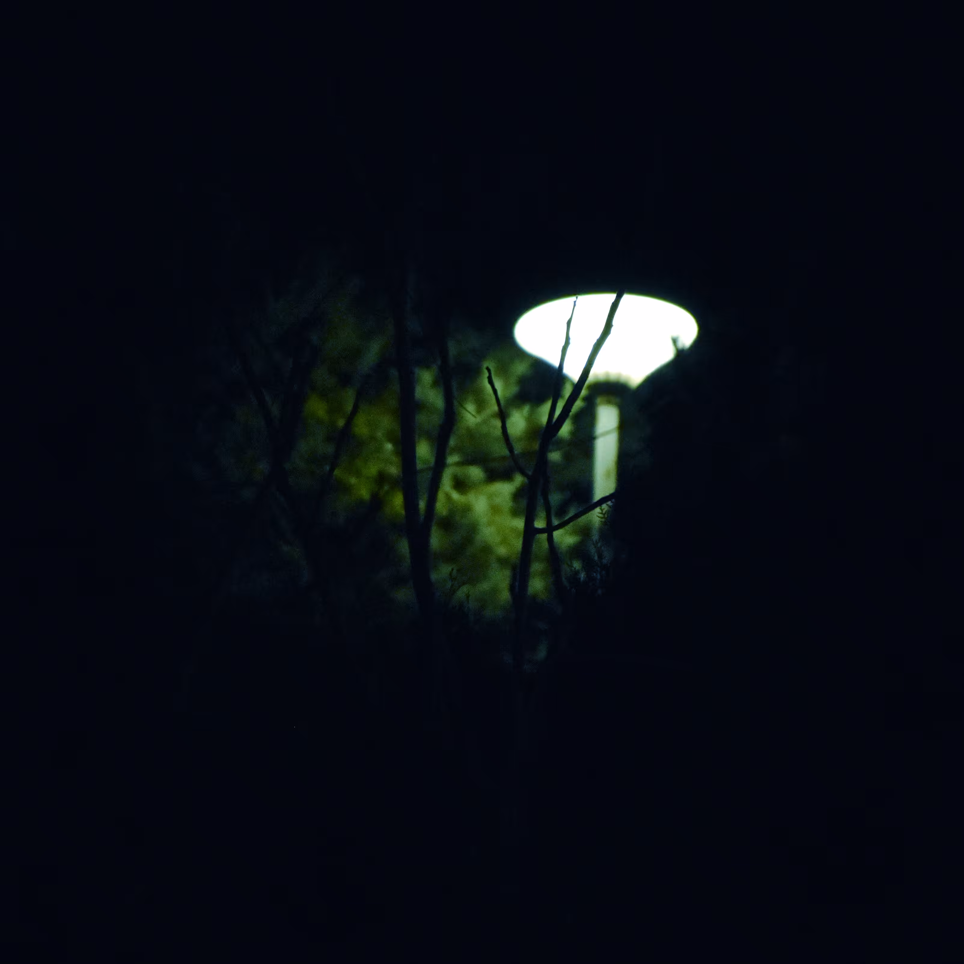 heart of the night