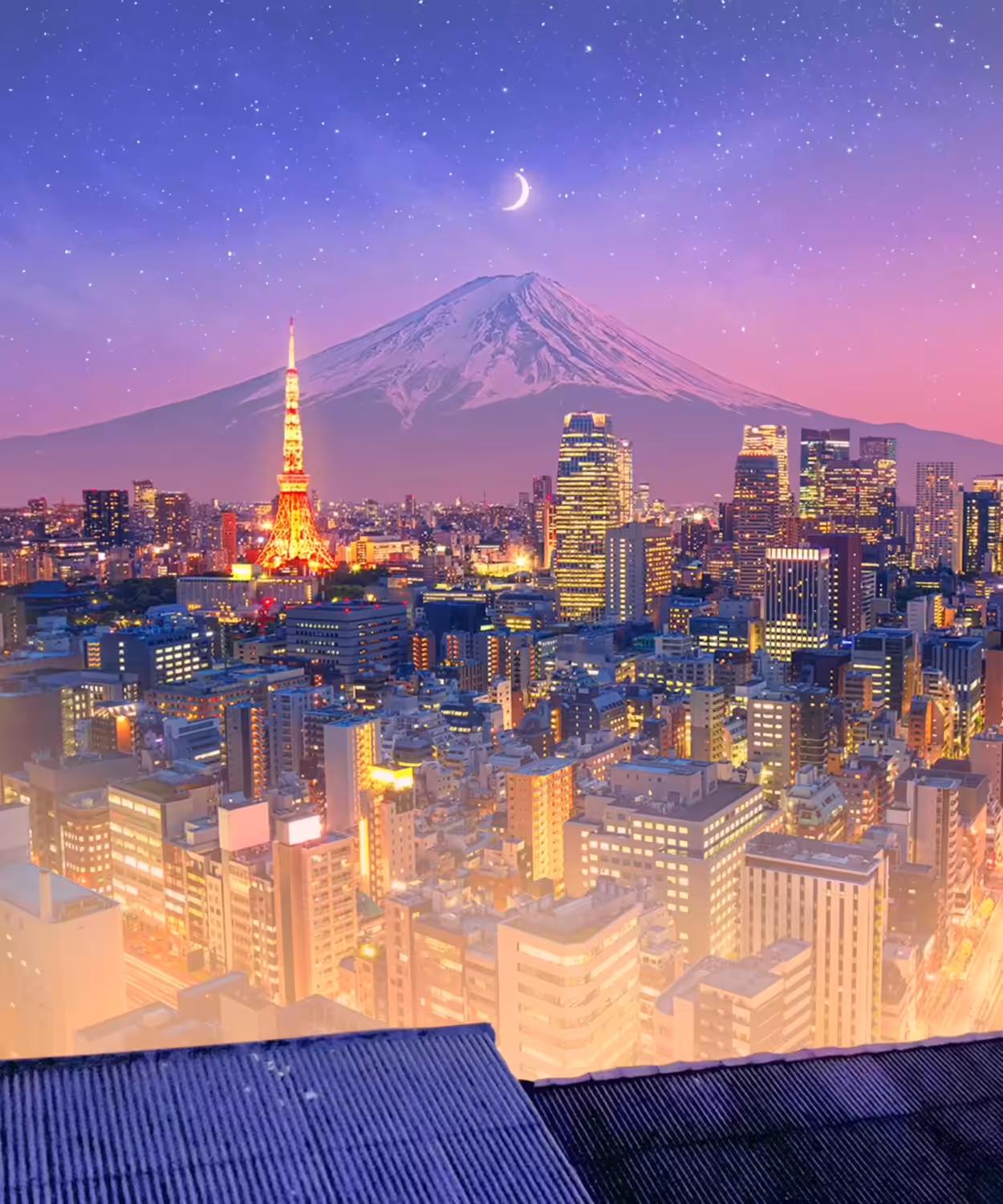 The Cat In Tokyo