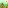 Forest Trees #2